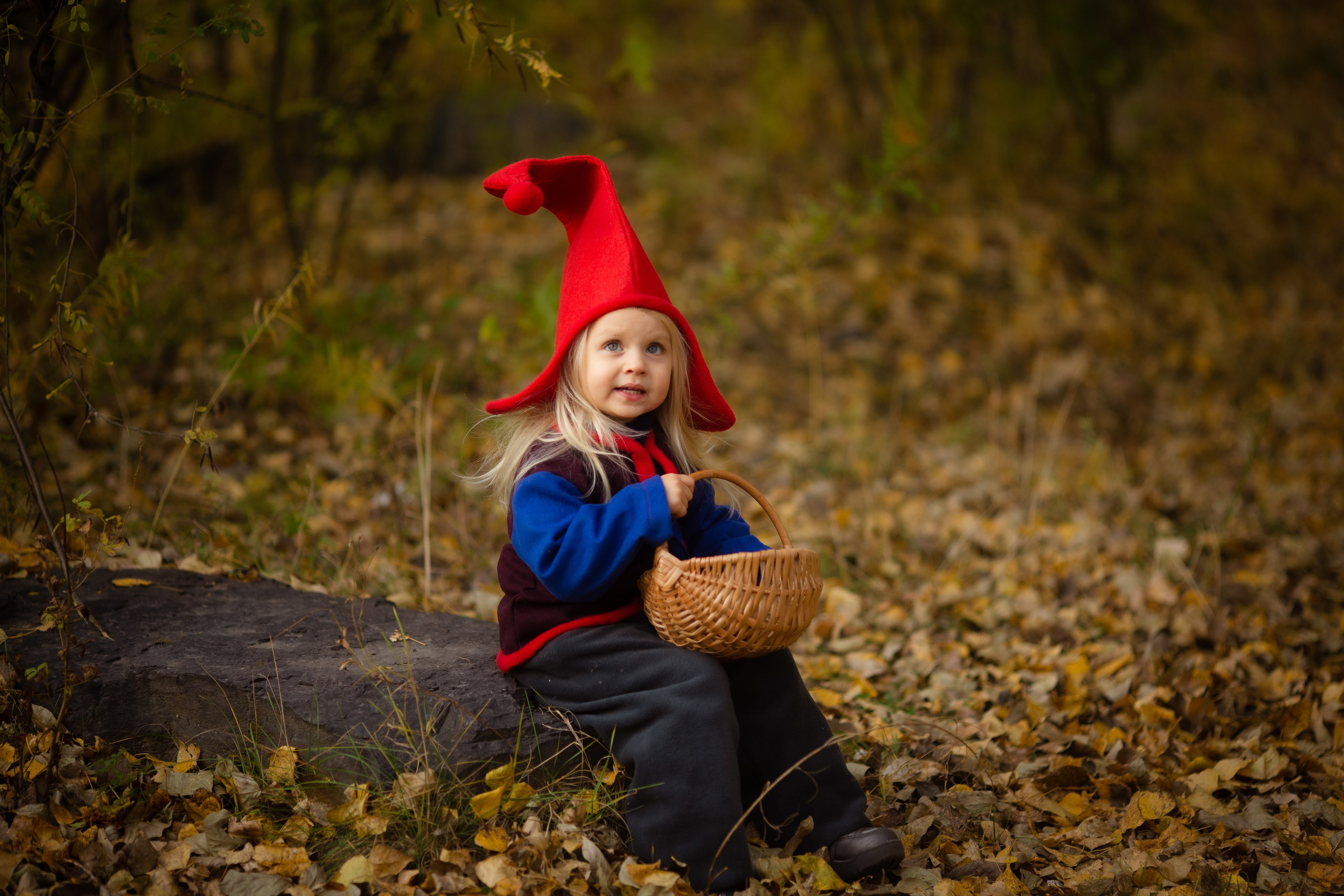 Лесные гномы