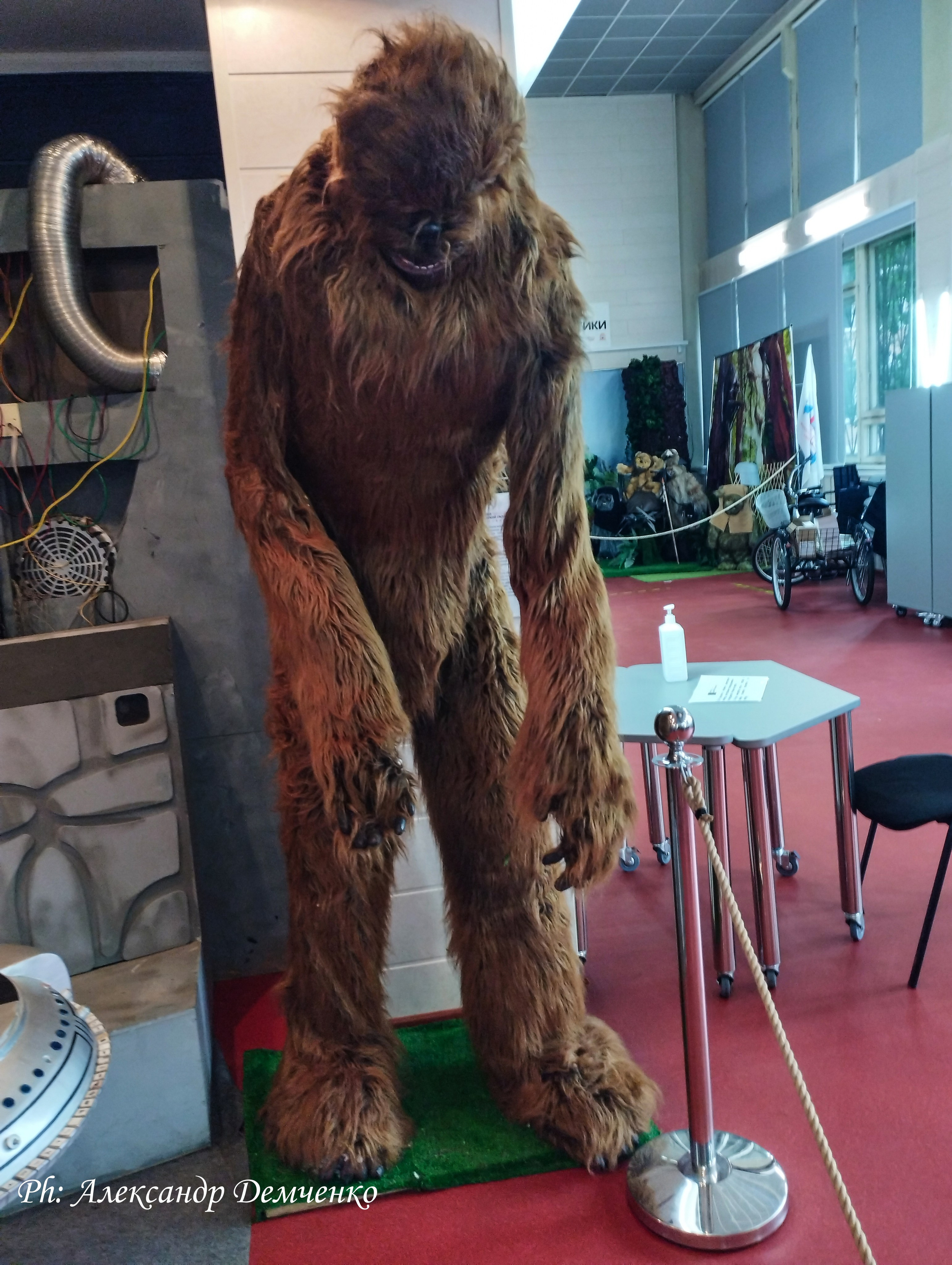 Фотосессия в музее Звездные Войны Далёкой Галактике в Москва