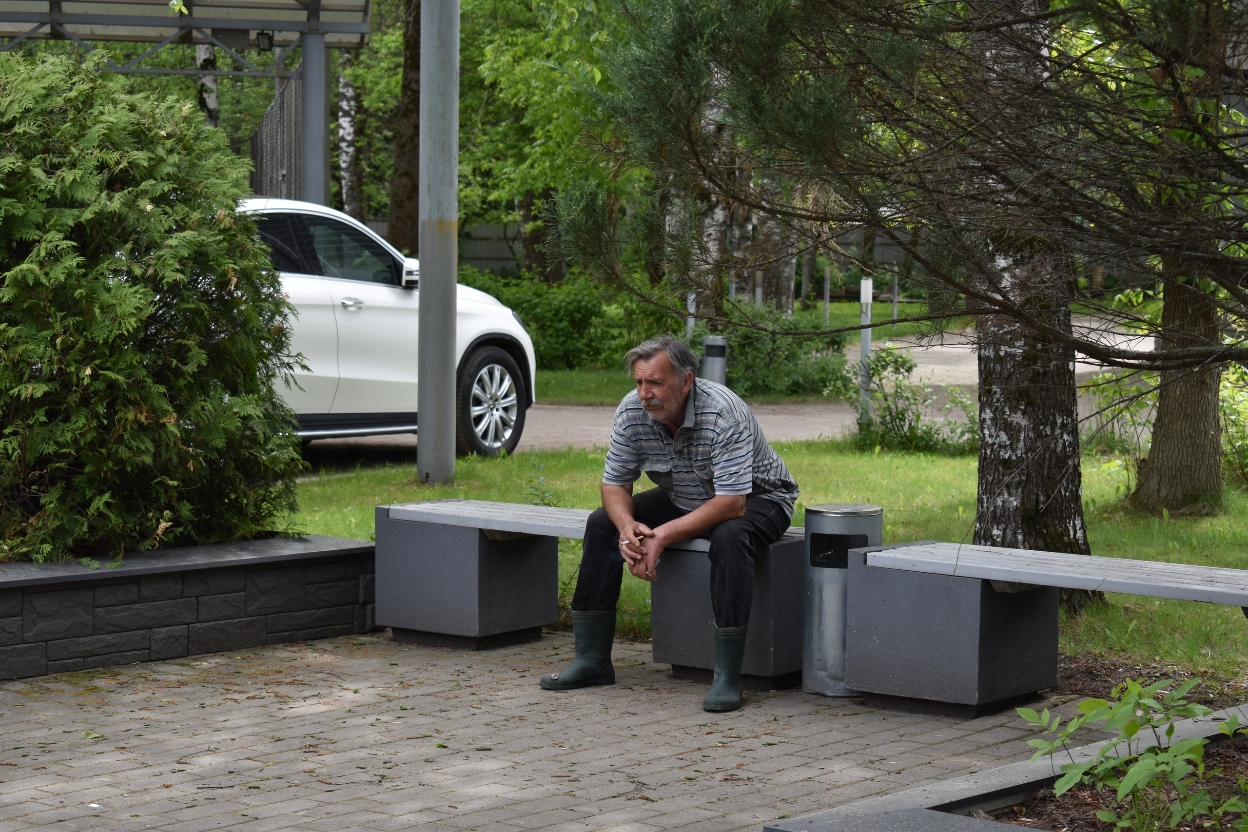 Добрый садовник (в процессе). Микс-медиа художница Надежда Пророкова