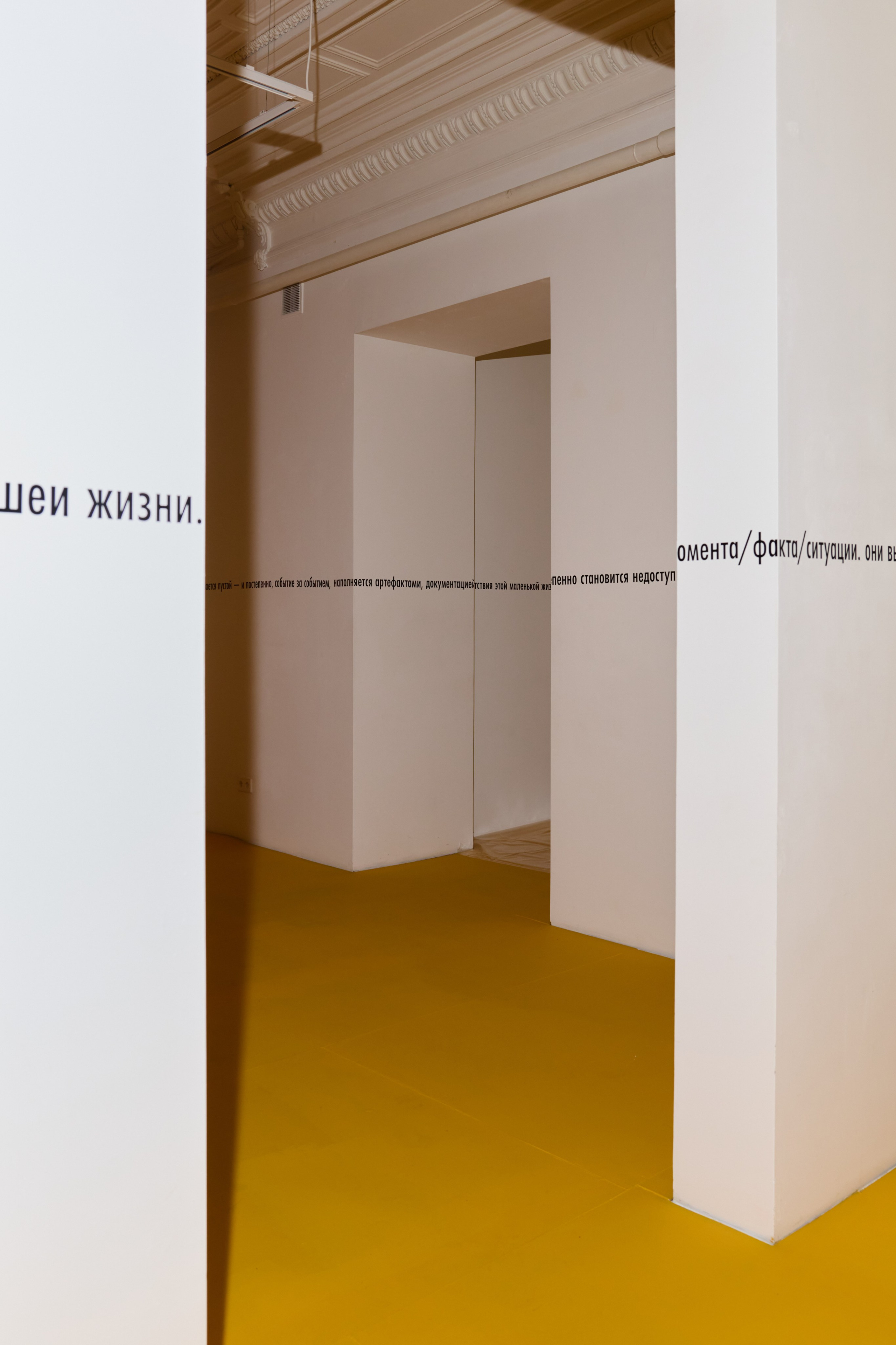Focus: Performance. Anna Zavediy