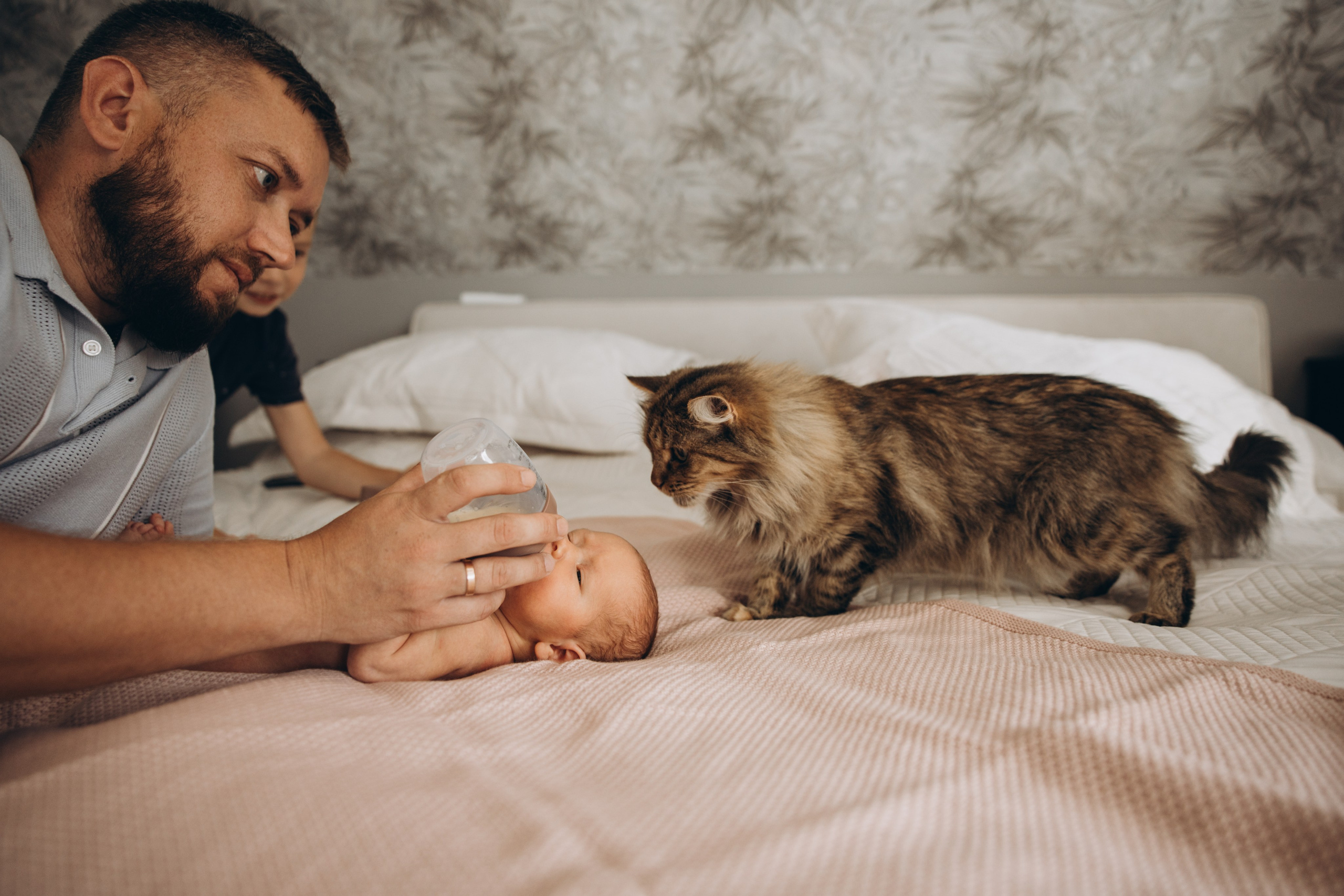 Домашняя. Свадебный, семейный фотограф в Иркутске Светлана Макаричева