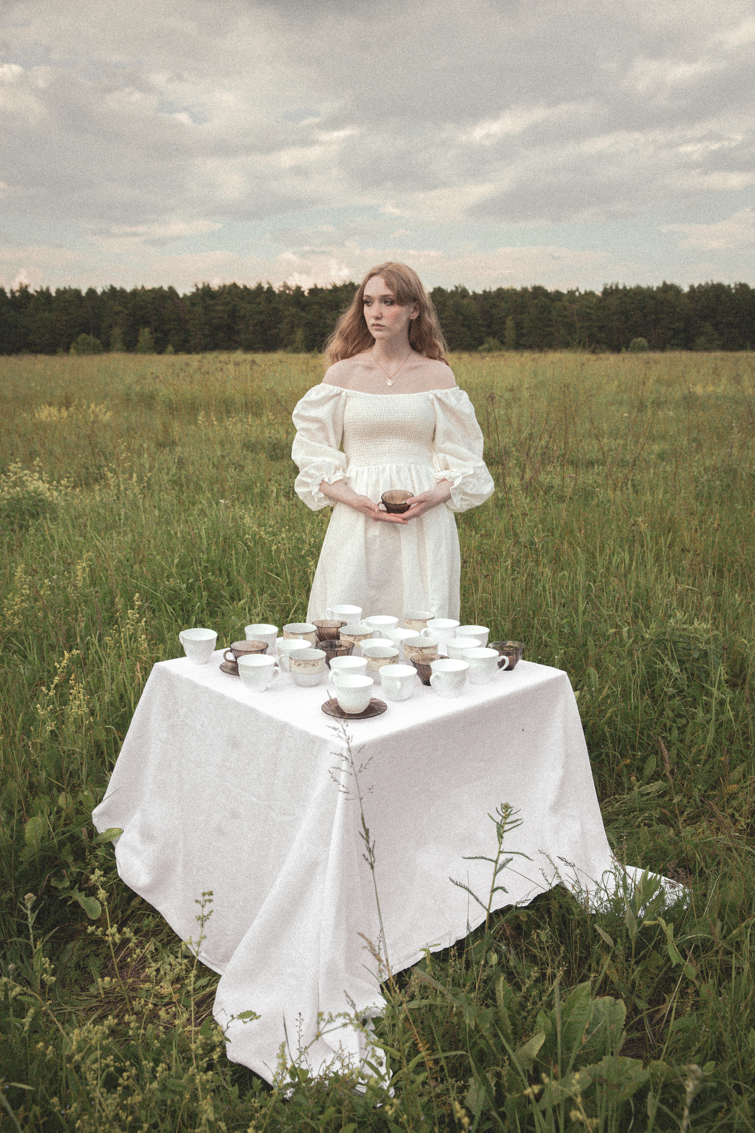 EDWARDIAN TEA DRESS (2021). Фотограф Полина Треногина