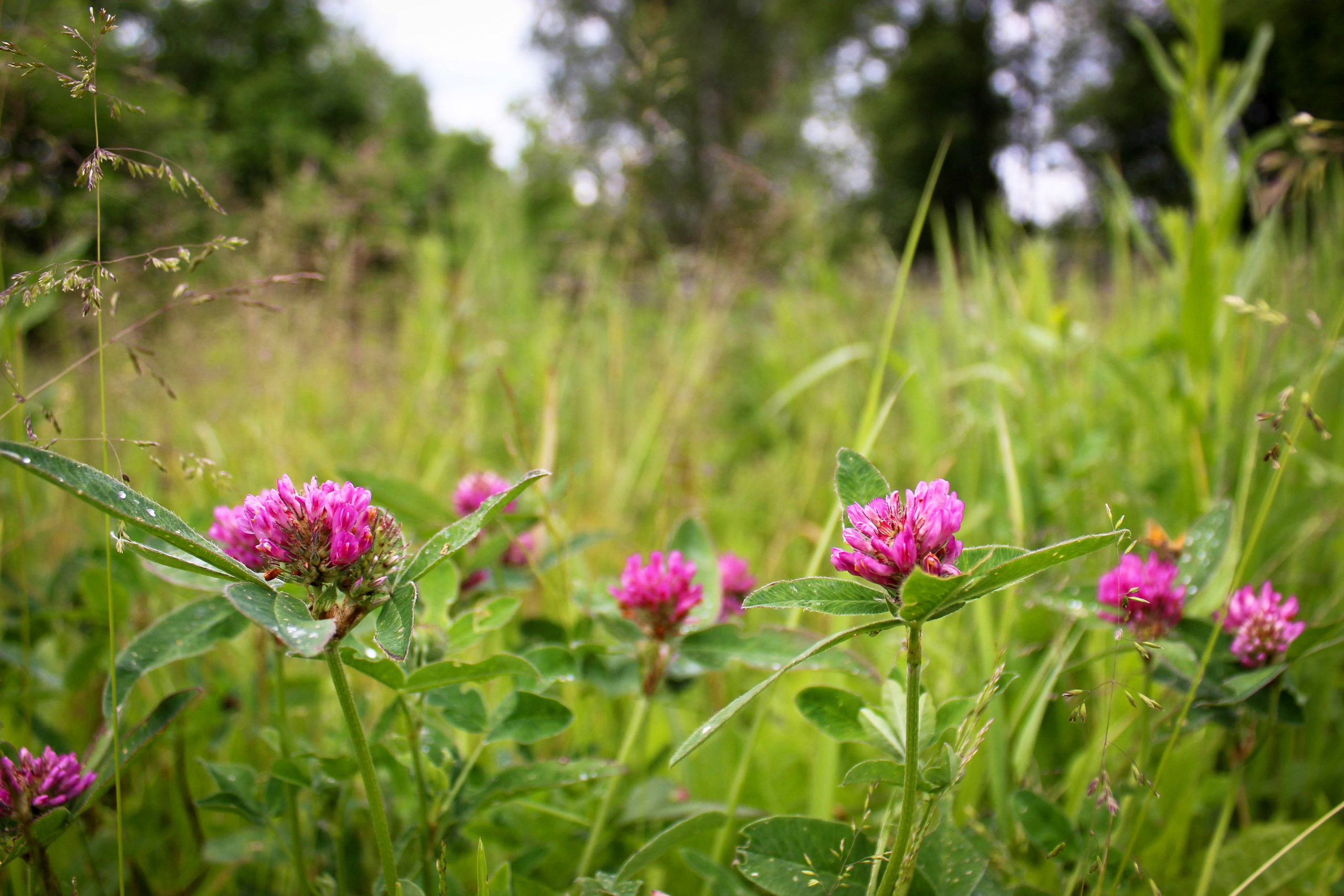 Пос. Мирный. Фотограф Ксения Монахова