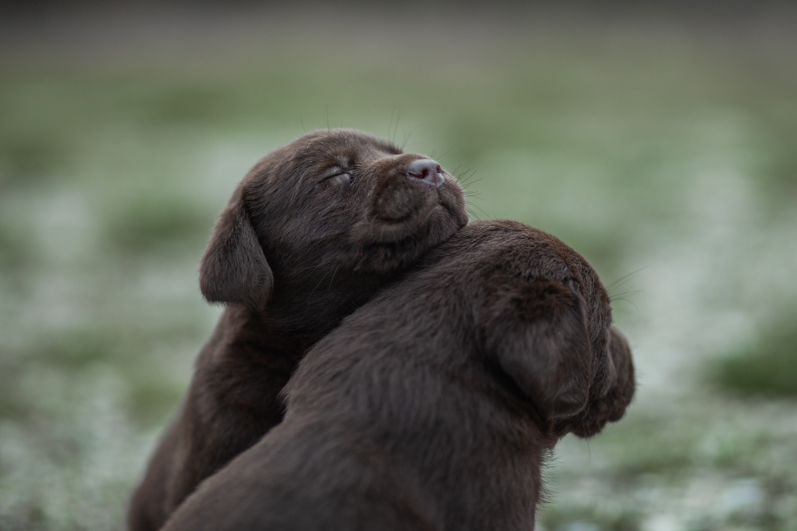 Улицы Люди на улицах Природа Животные — фотограф Оля Волчкова