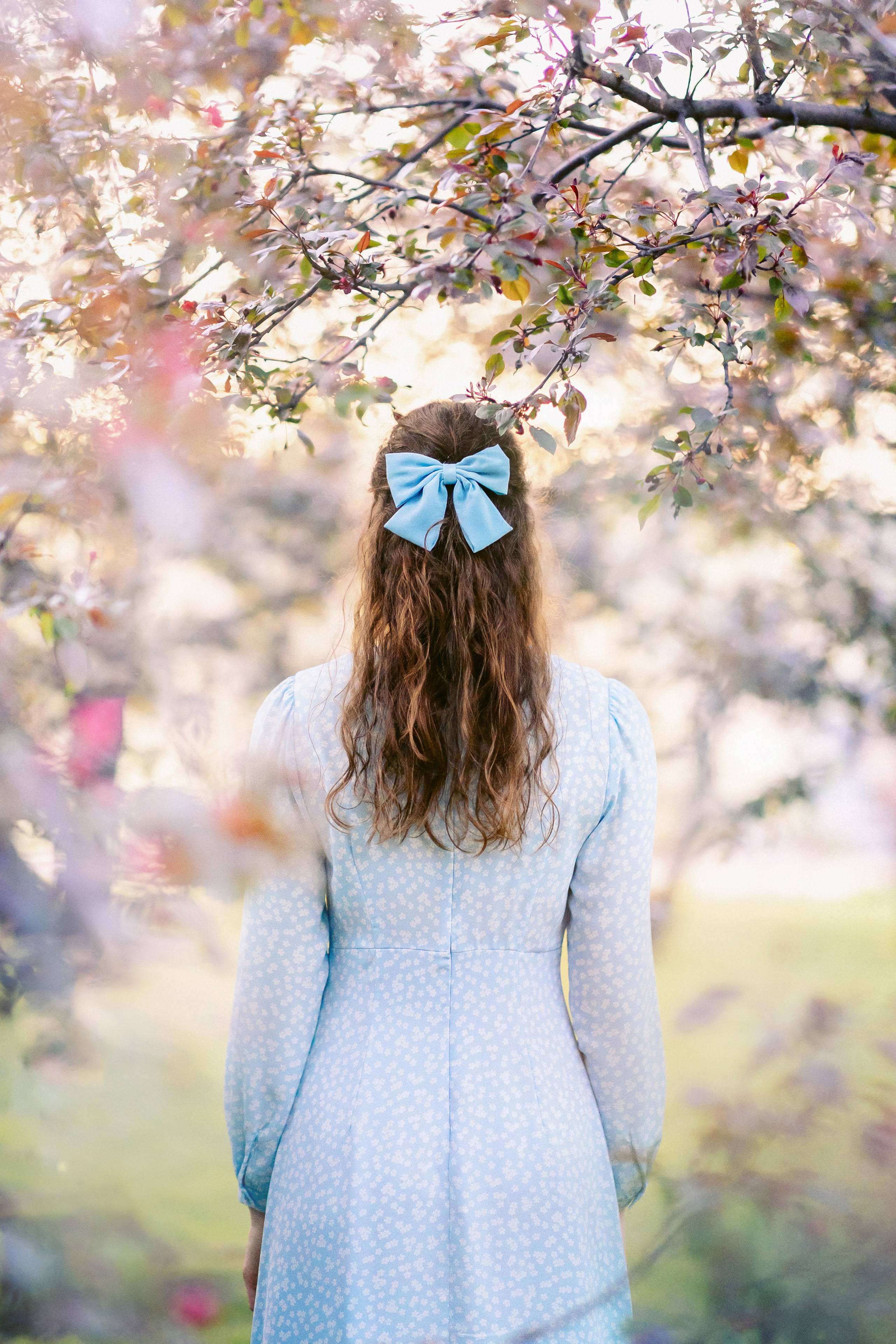 цветение волосы и бант