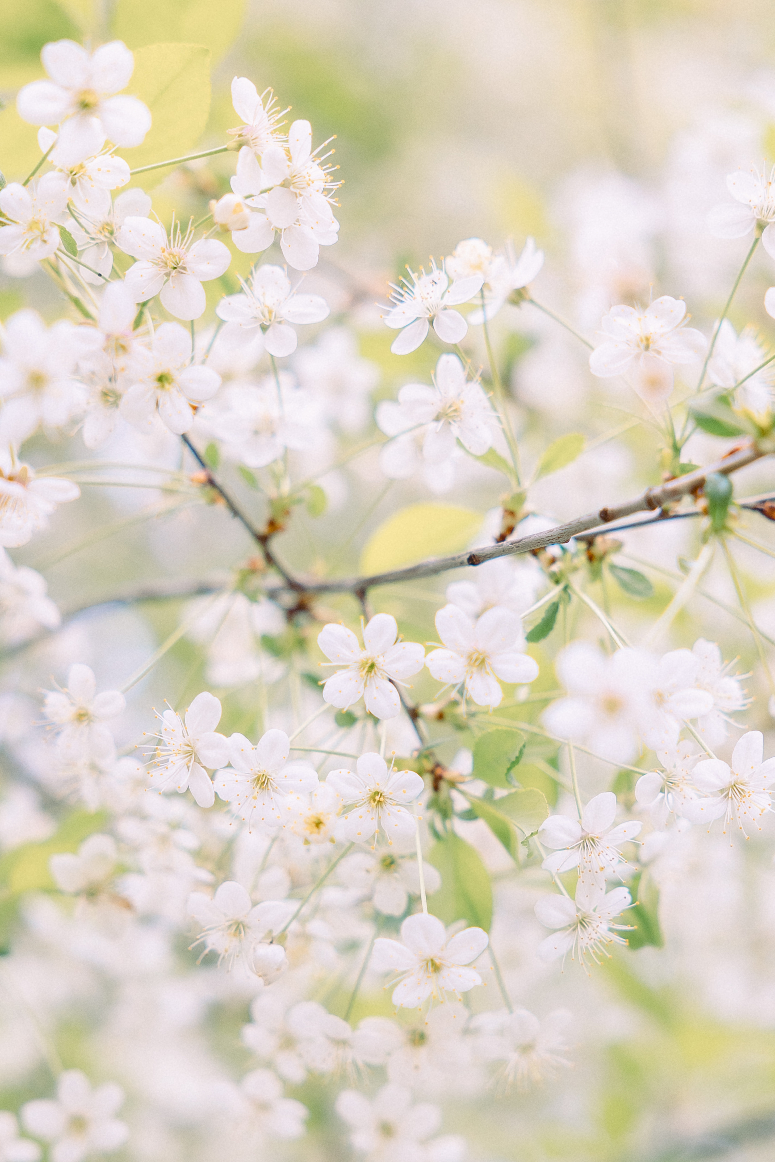 Семейный фотограф в городе Москва. Фотограф Москва — Павел Михайлов