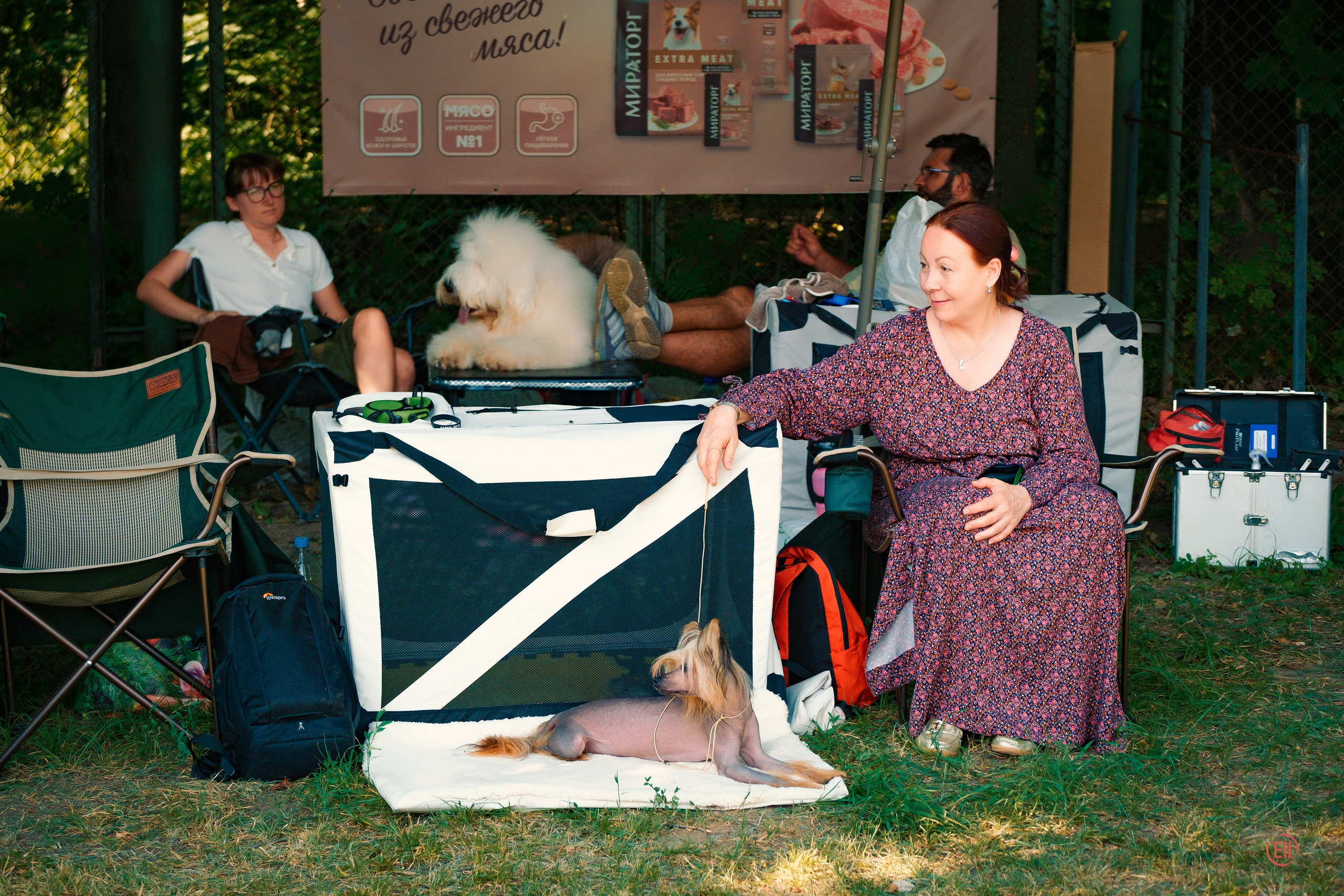 Expert Marina Grigoryevna Ostrovskaya examines Emma (Ashantal Emmanuel Poale Ell) on the table. Balashikha 13.07.2024.