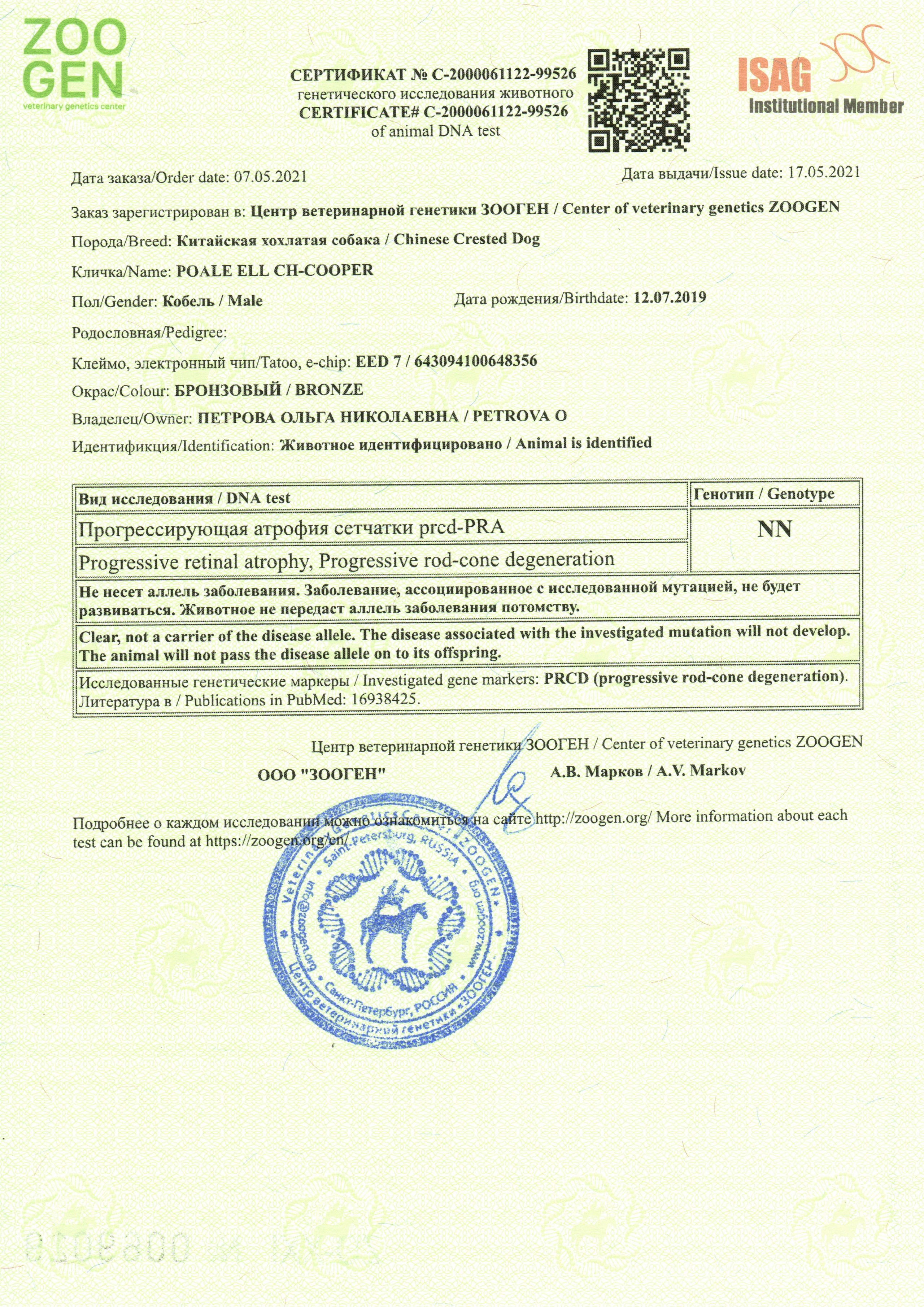 Poale Ell Cooper. Chinese Crested Dog Kennel Poale Ell