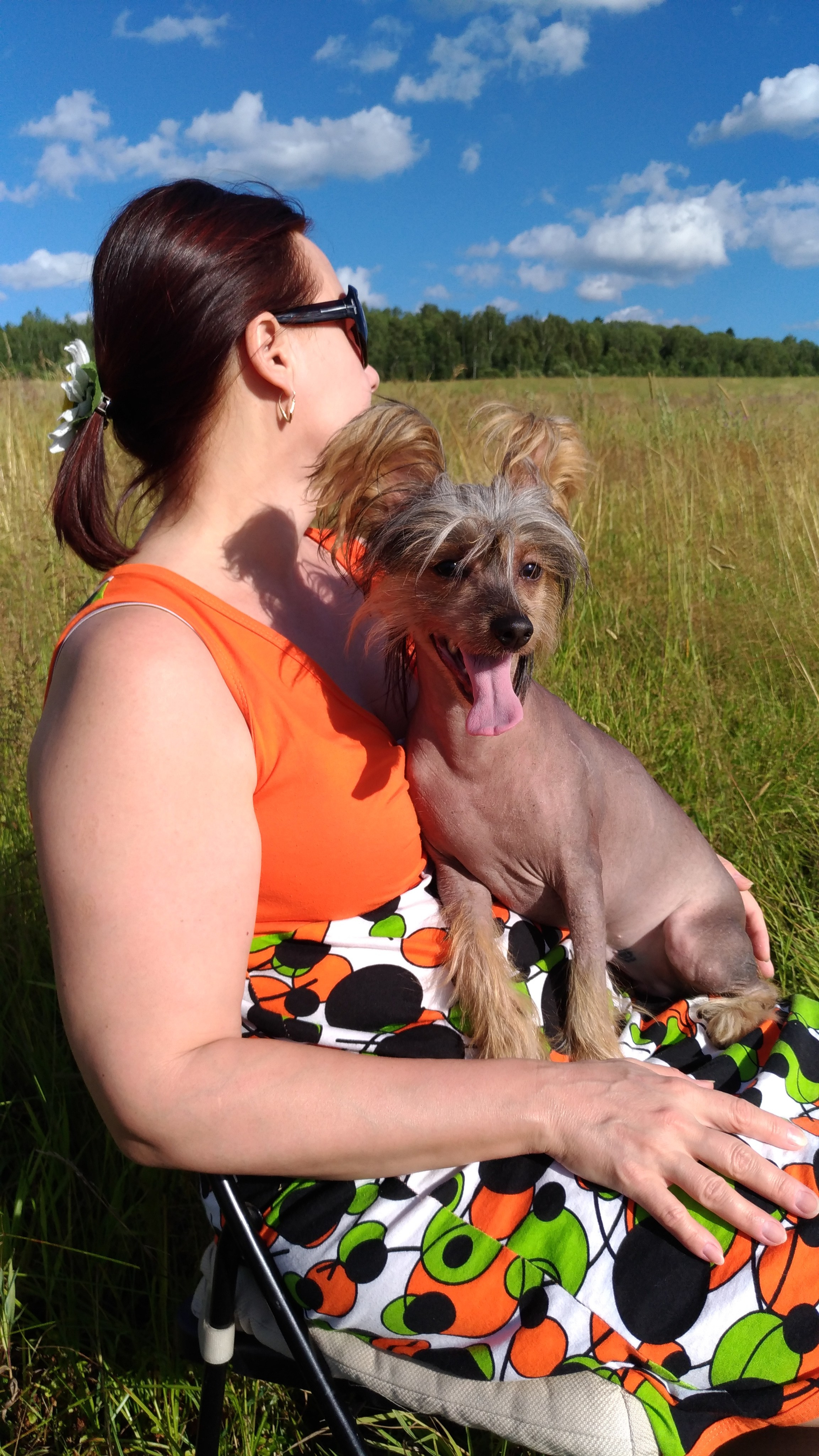 В поле под присмотром сокола. Питомник китайских хохлатых собак Poale Ell: купить щенка в питомнике