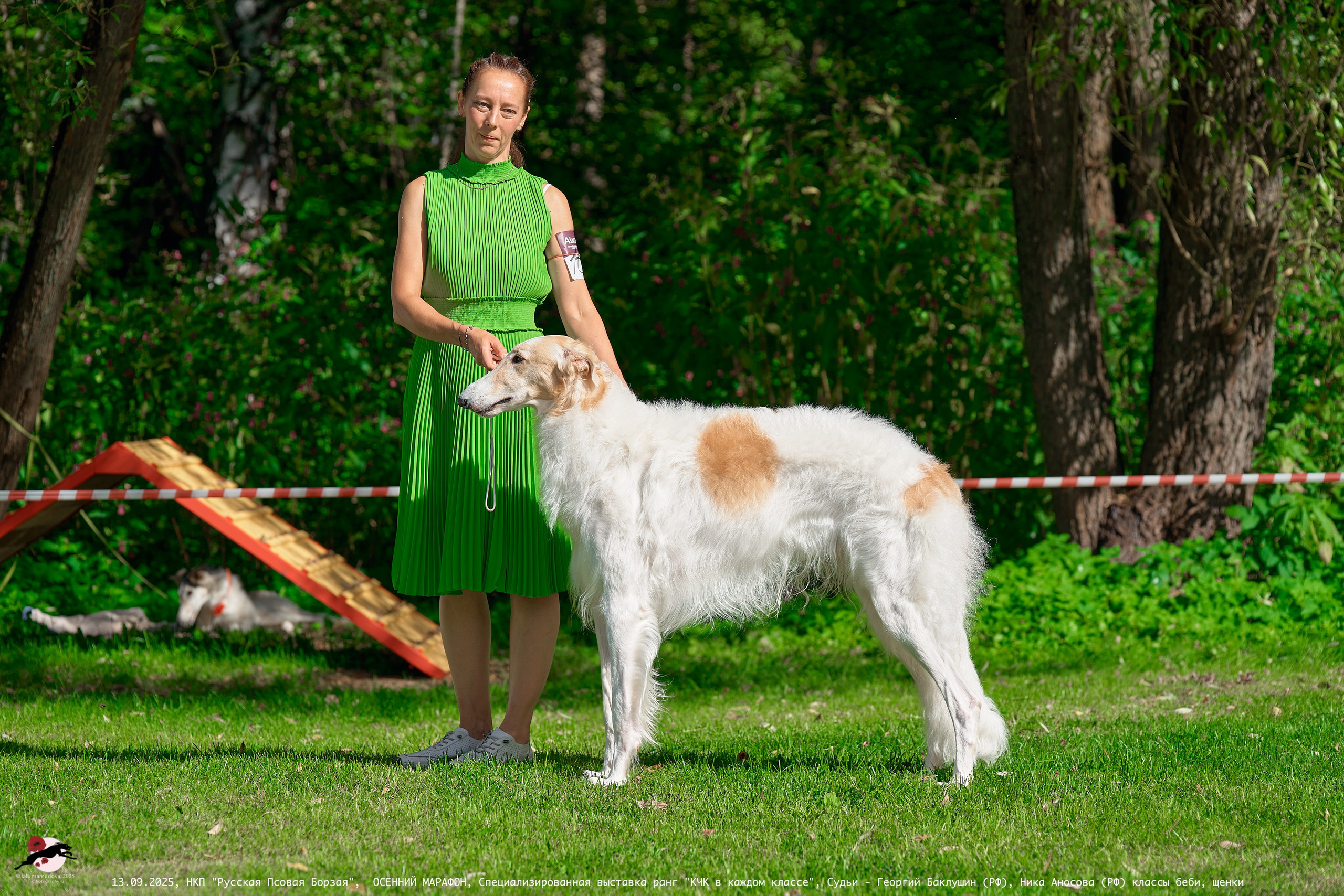 ОСЕННИЙ МАРАФОН | Специализированная выставка породы Русская Псовая Борзая ранг "КЧК в каждом классе"