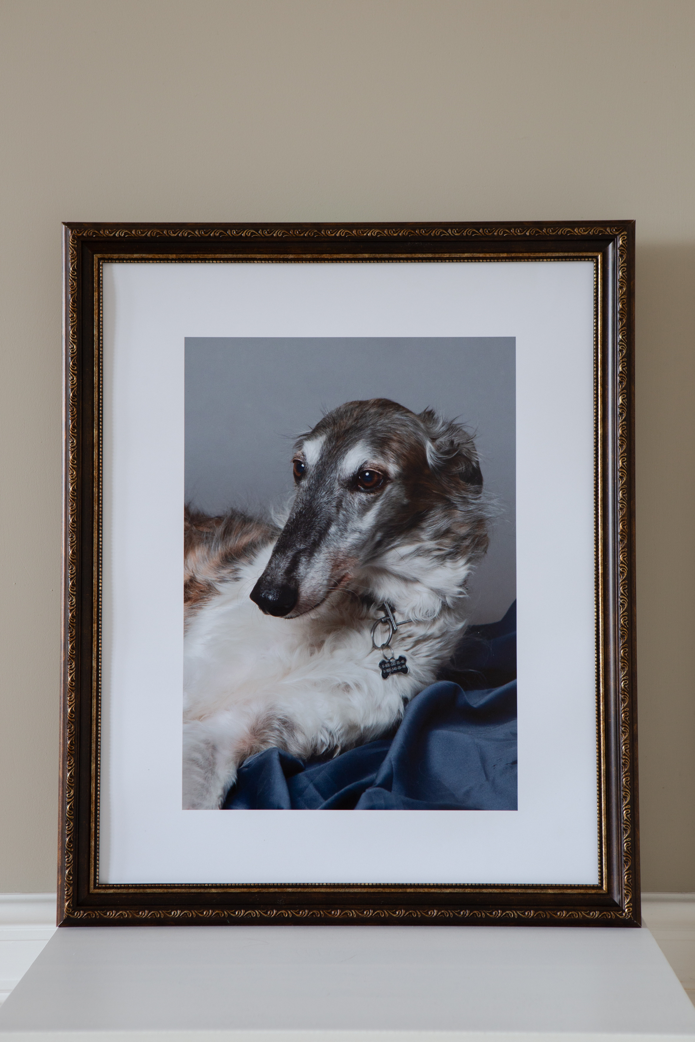 Стандарт. Фотограф Ольга Кардашова