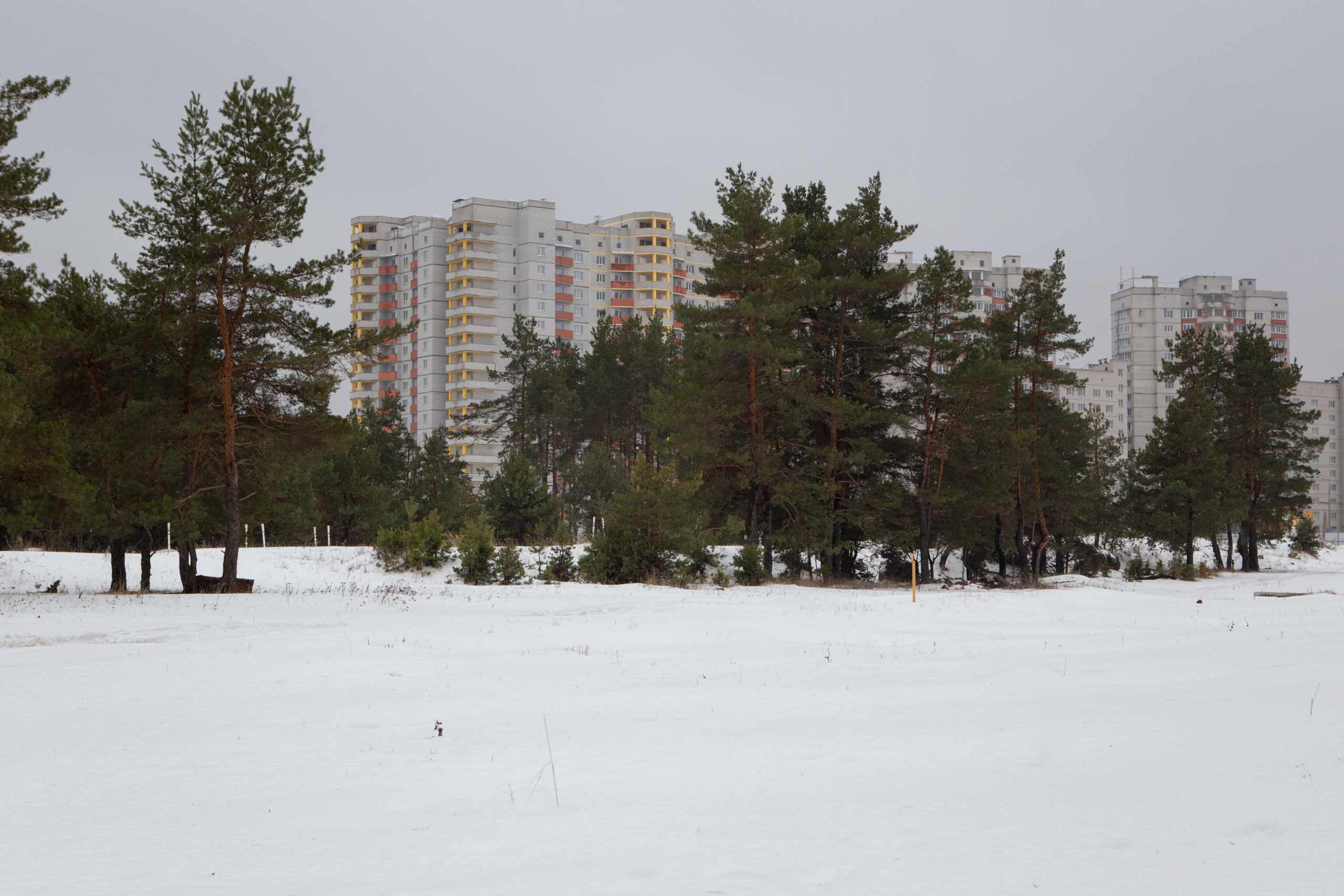 Стандарт. Фотограф Ольга Кардашова