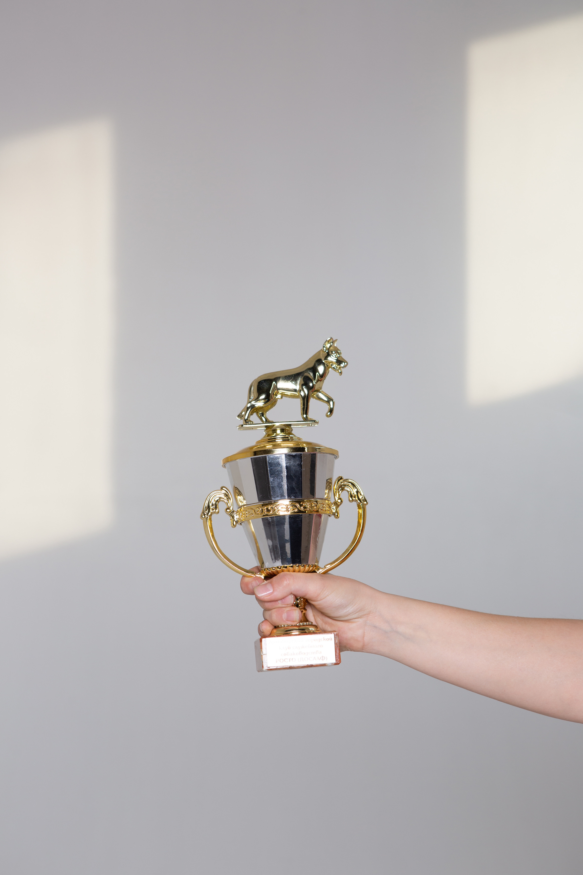 Стандарт. Фотограф Ольга Кардашова