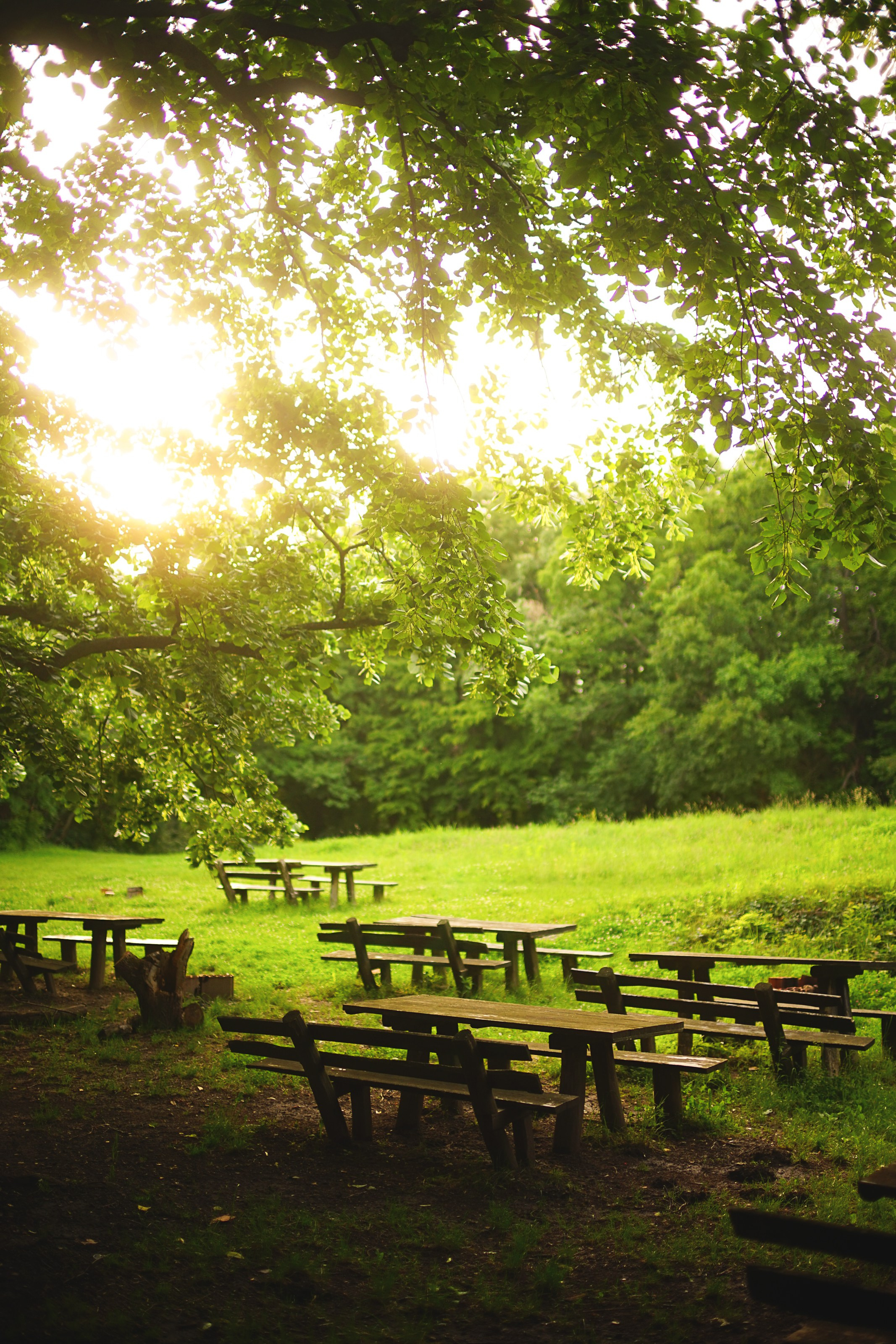 Canvas Aesthetics. Oleg Kozachok — Photographer with Protanopia | Portraits, Texture & Light