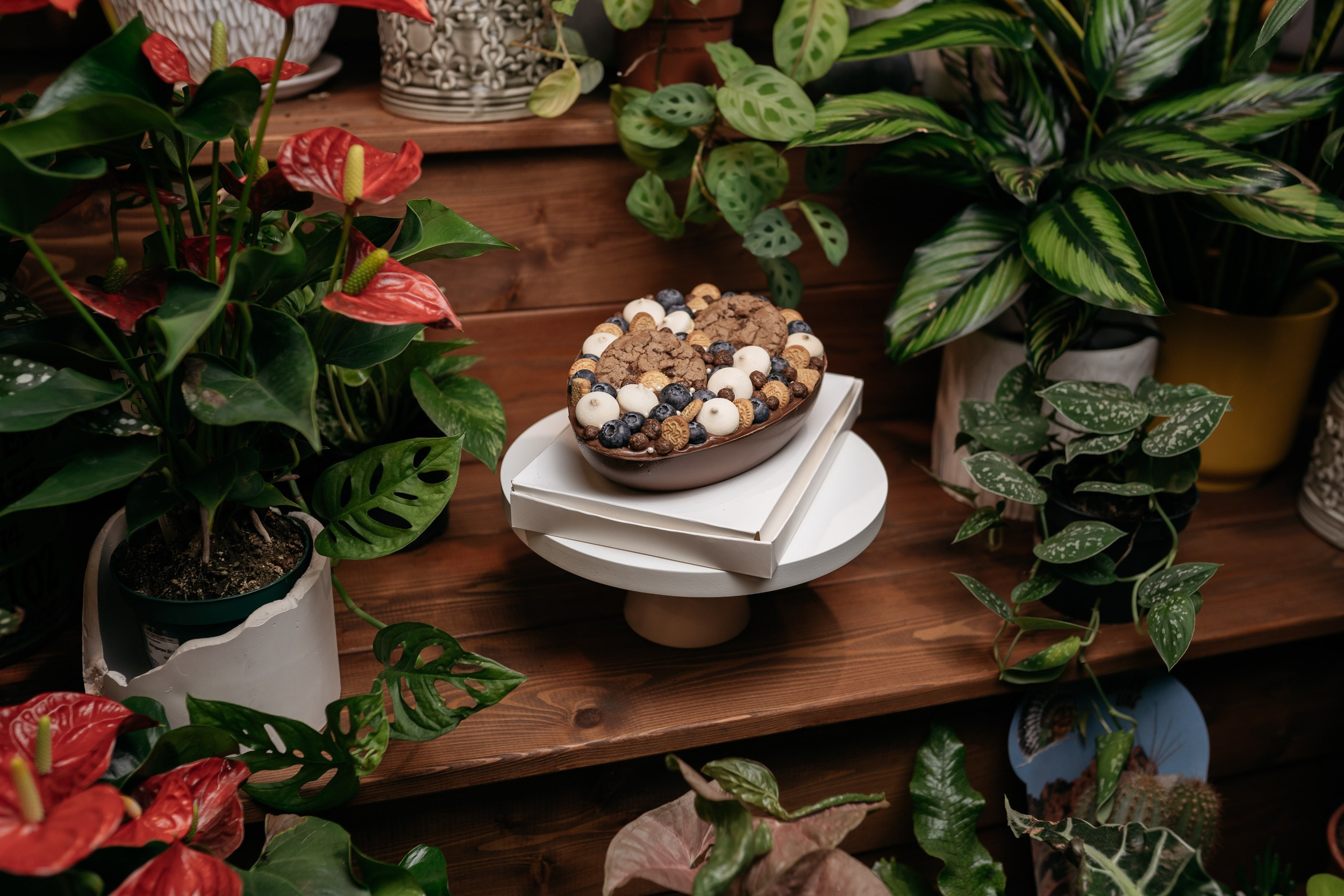 Проекты для блога и бренда. ИТВИ