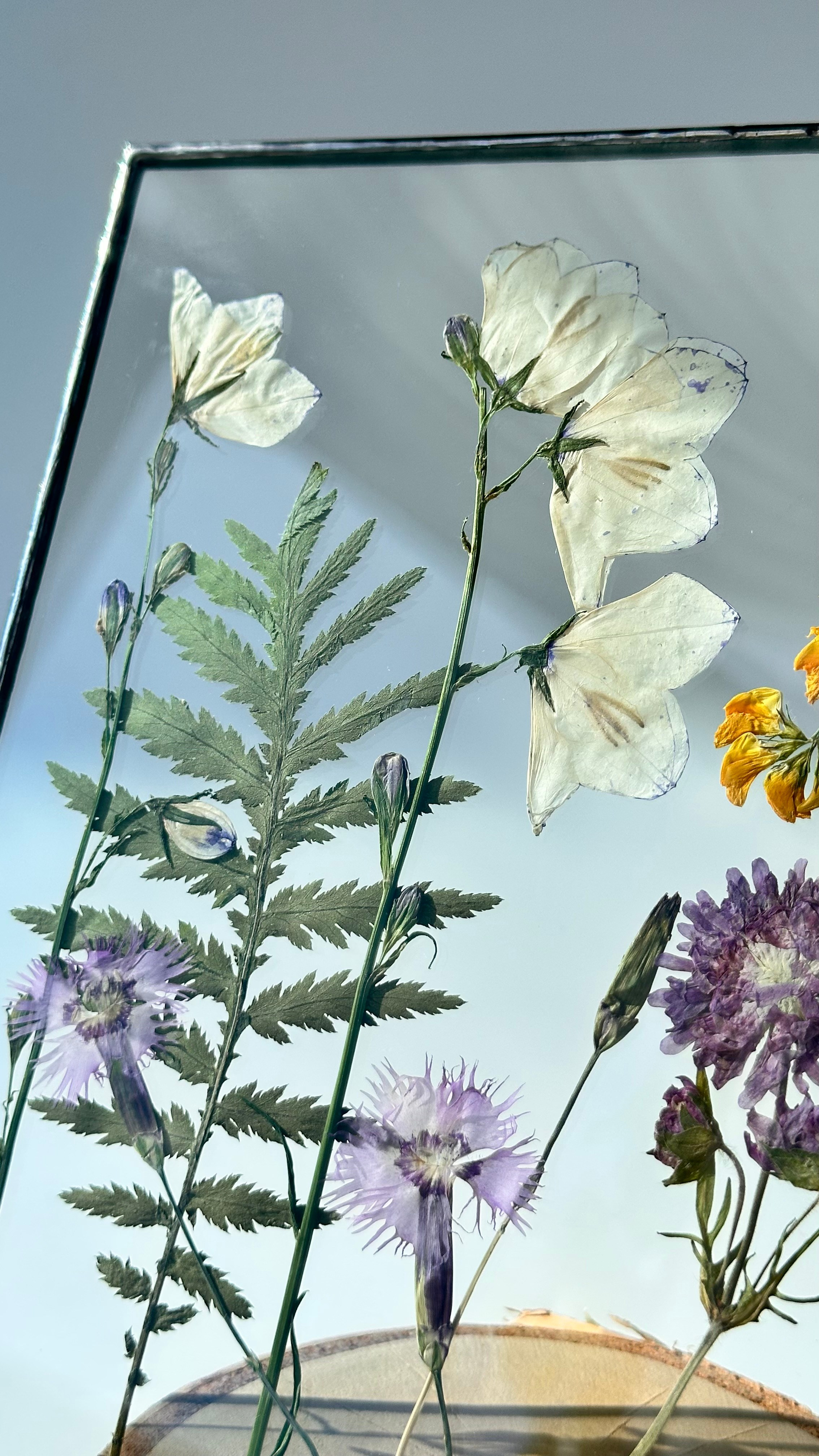 Колокольчики, гвоздики, ромашка Квадрат 20 см. Оформляю пространства. Витражи с сухоцветами в технике Тиффани