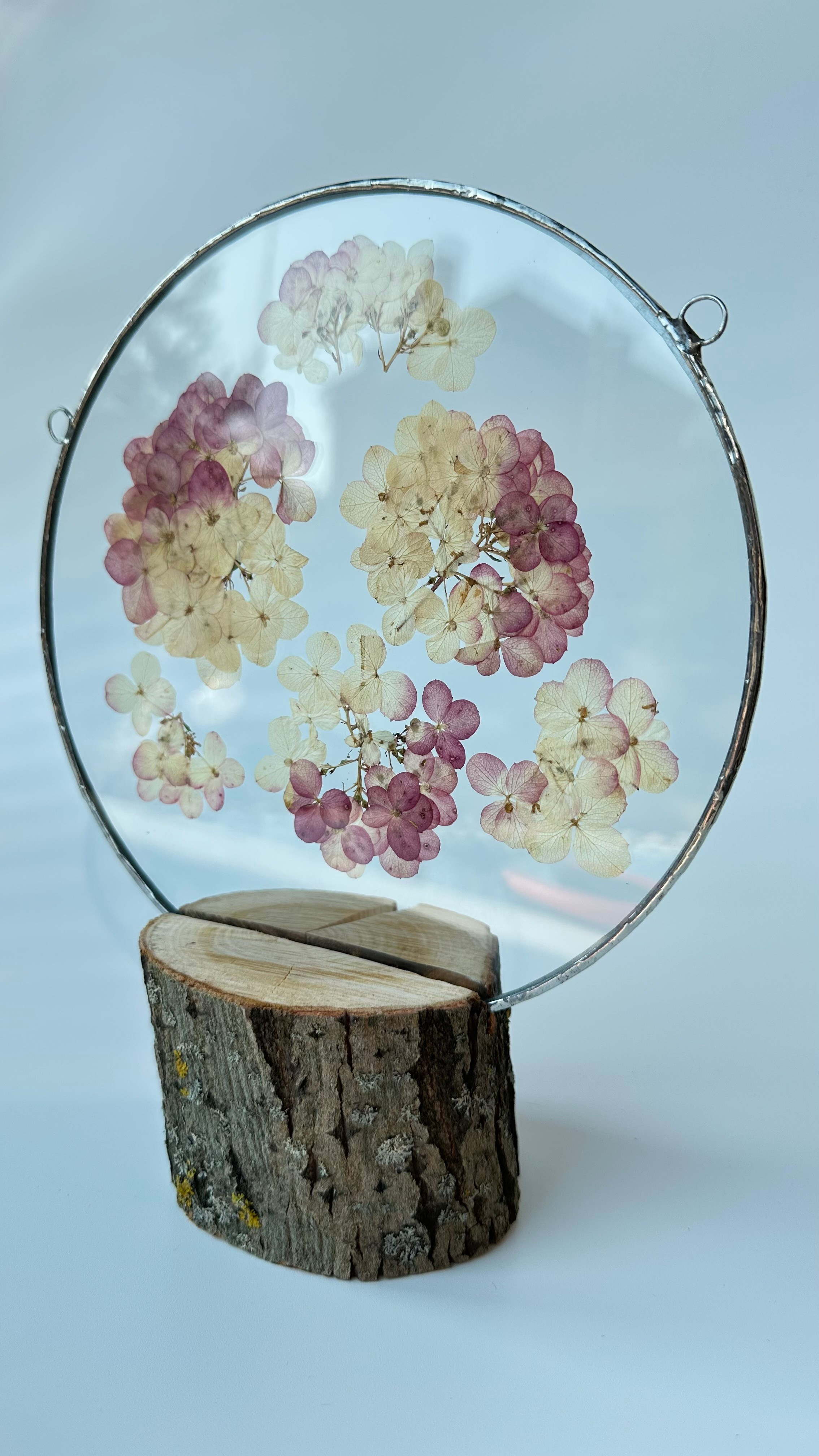 Гортензия круг 20 см. Оформляю пространства. Витражи с сухоцветами в технике Тиффани