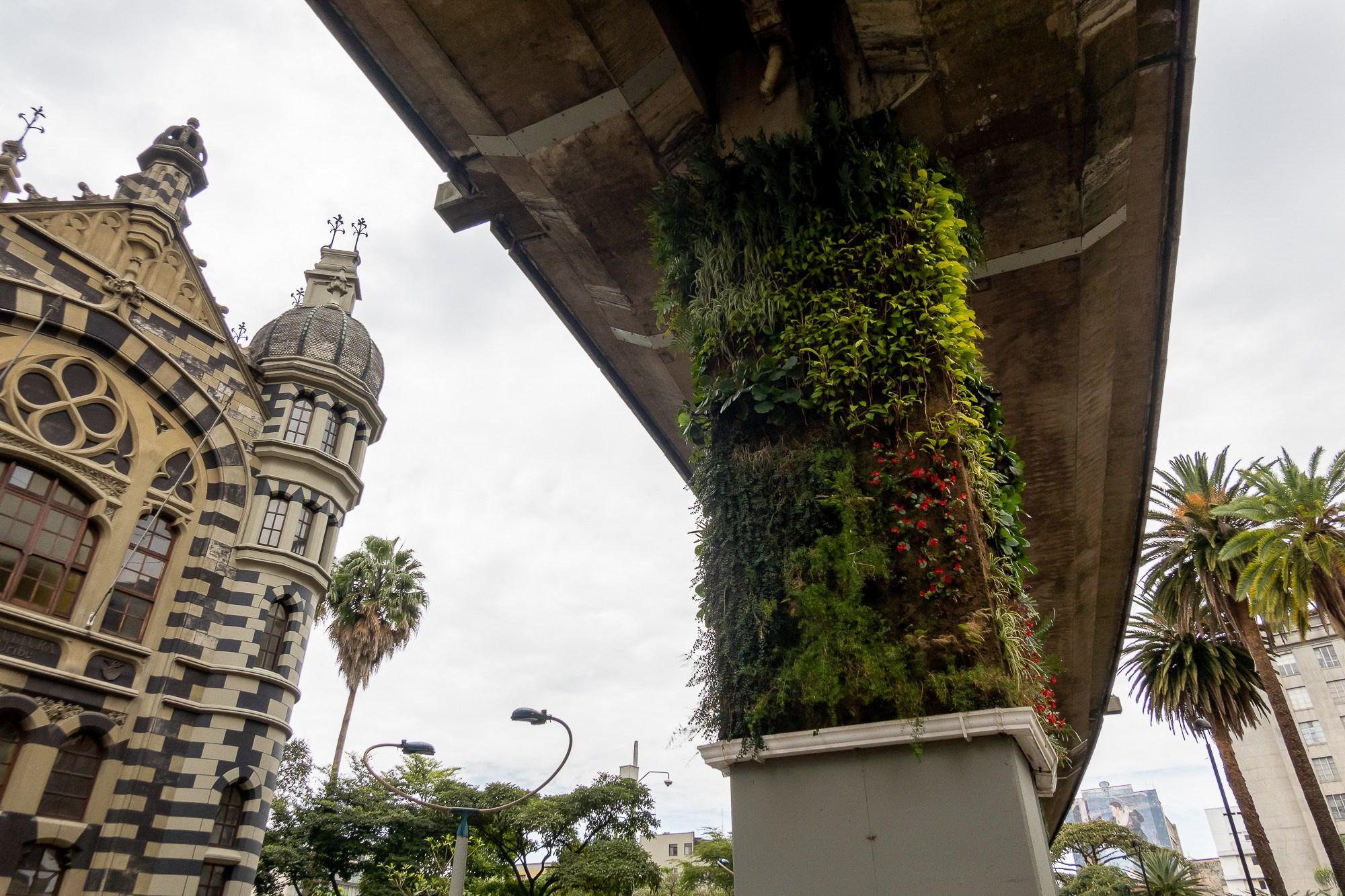 Колумбия Медельин. Colombia Medellin. Фотограф Алексей Скоробогатько