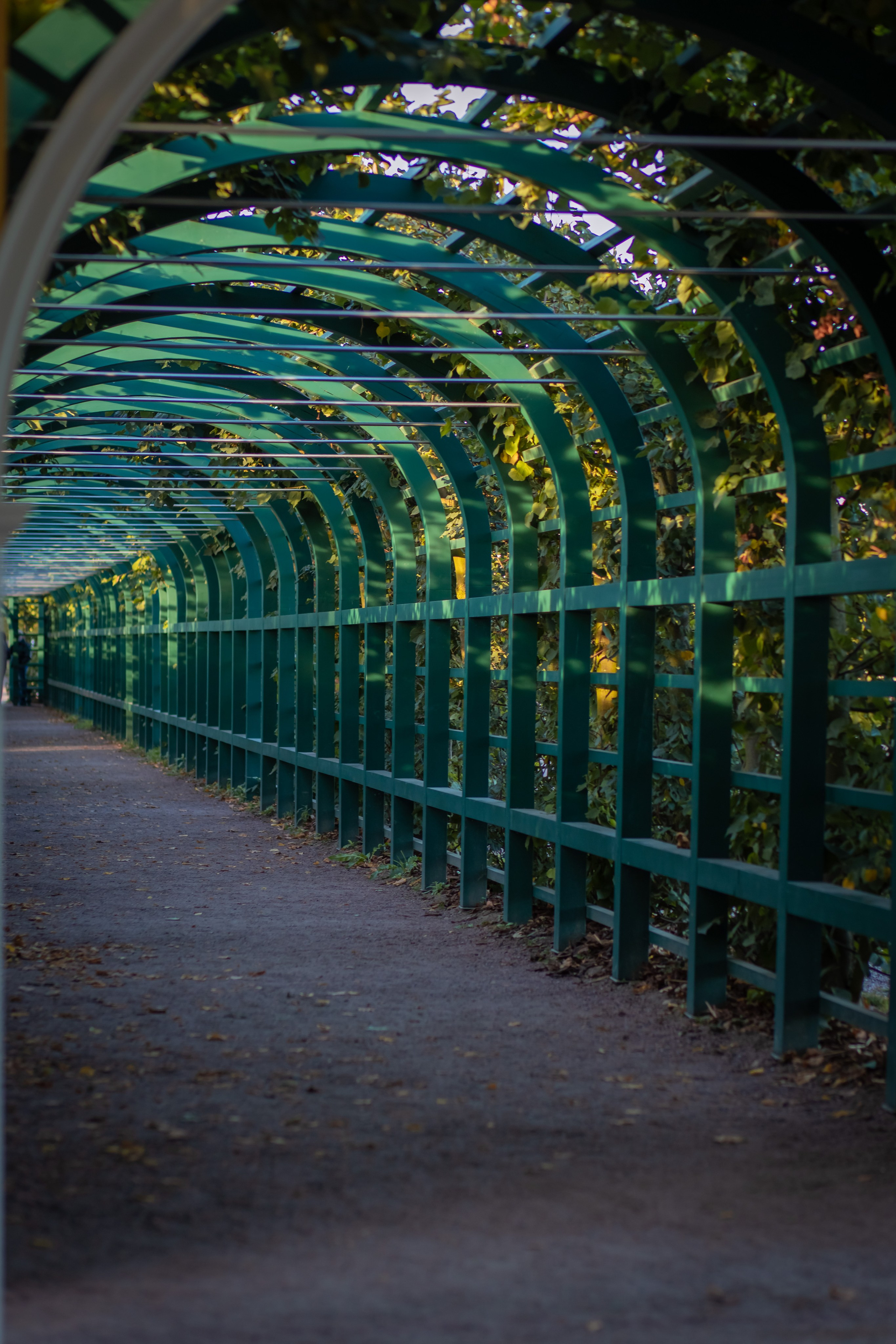 ФОТОСЕССИЯ В ПЕТЕРГОФЕ. ГДЕ СНИМАТЬ В ПЕТЕРГОФЕ