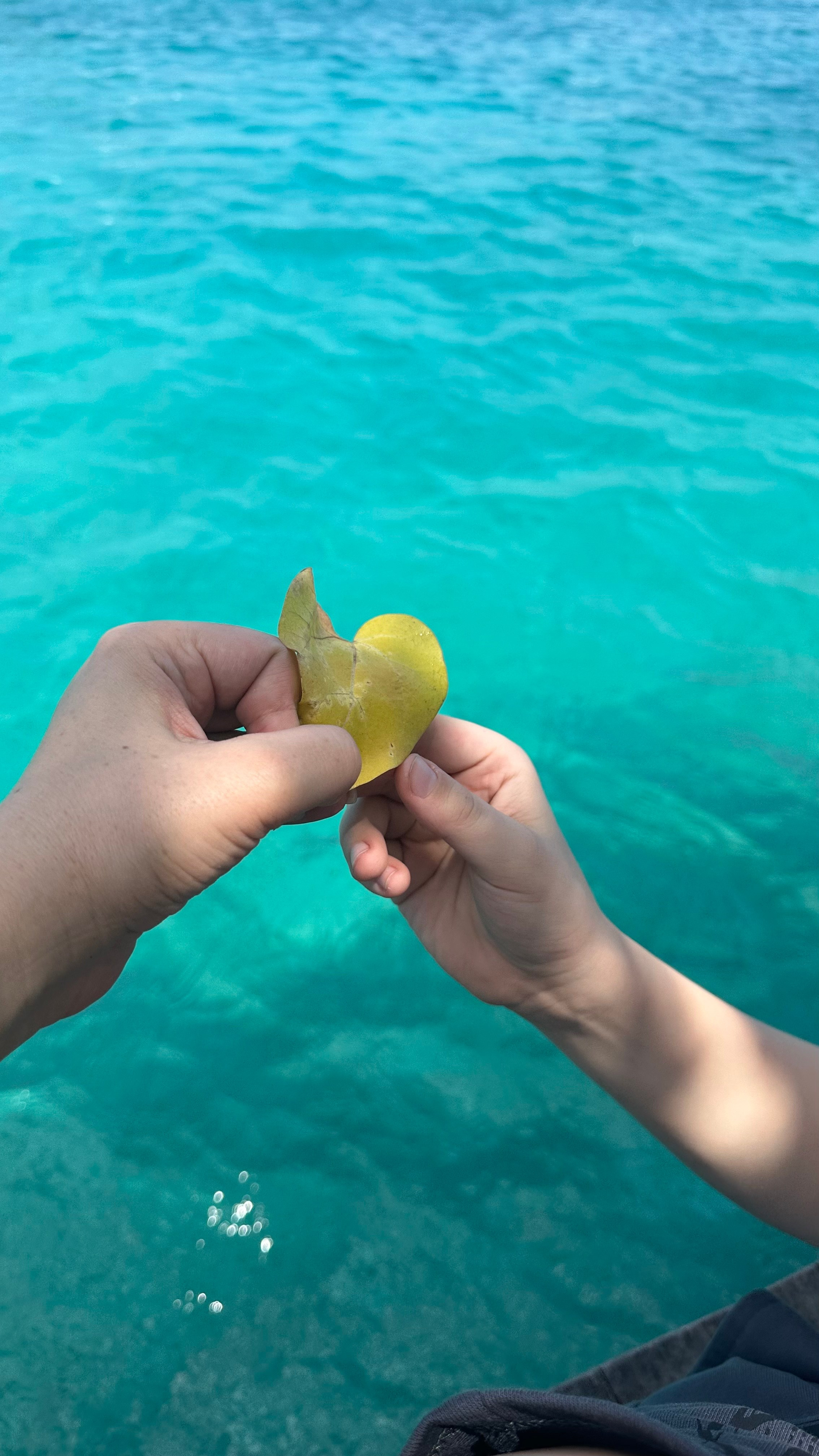 Вода. Эстет в моменте