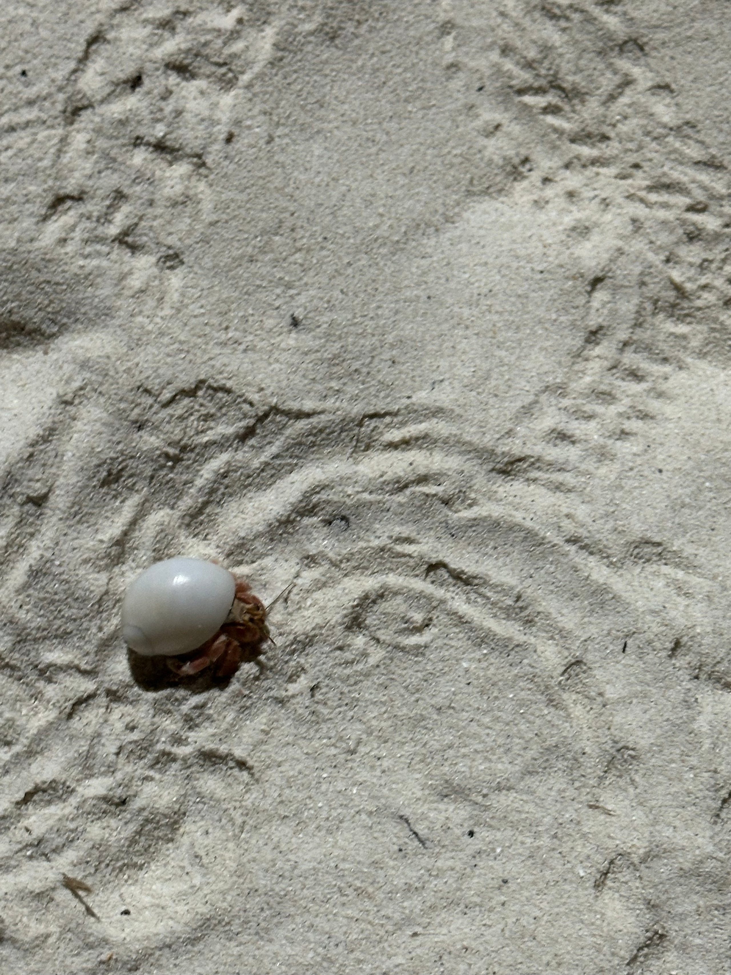 Вода. Эстет в моменте
