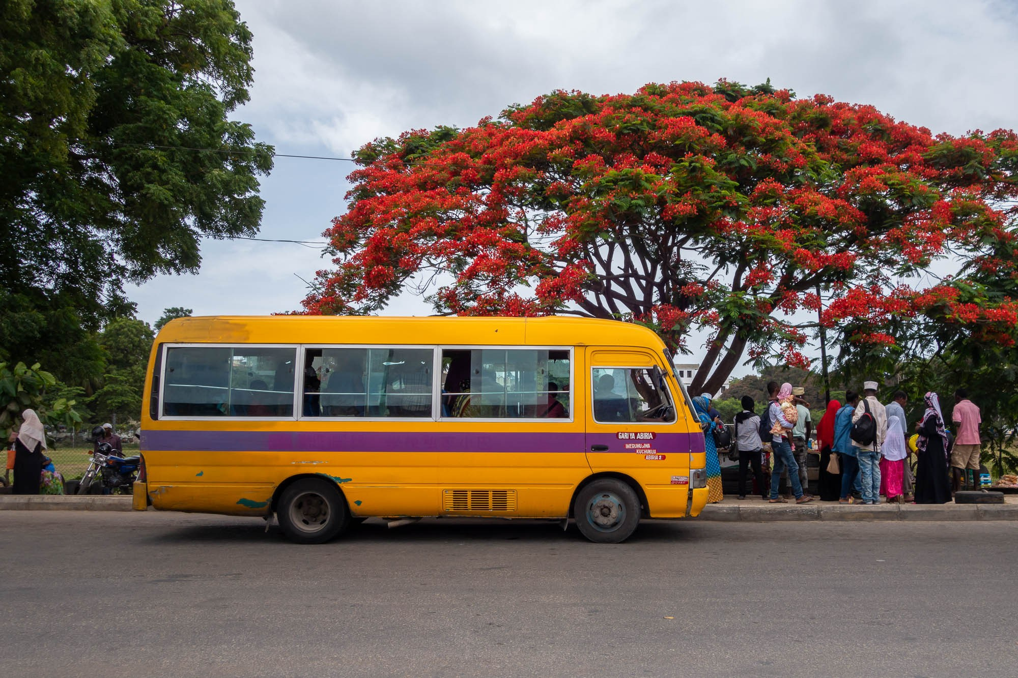 Остров Занзибар, г. Стоун Таун (Занзибар) Zanzibar Island, Stone Town (Zanzibar). Фотограф Алексей Скоробогатько