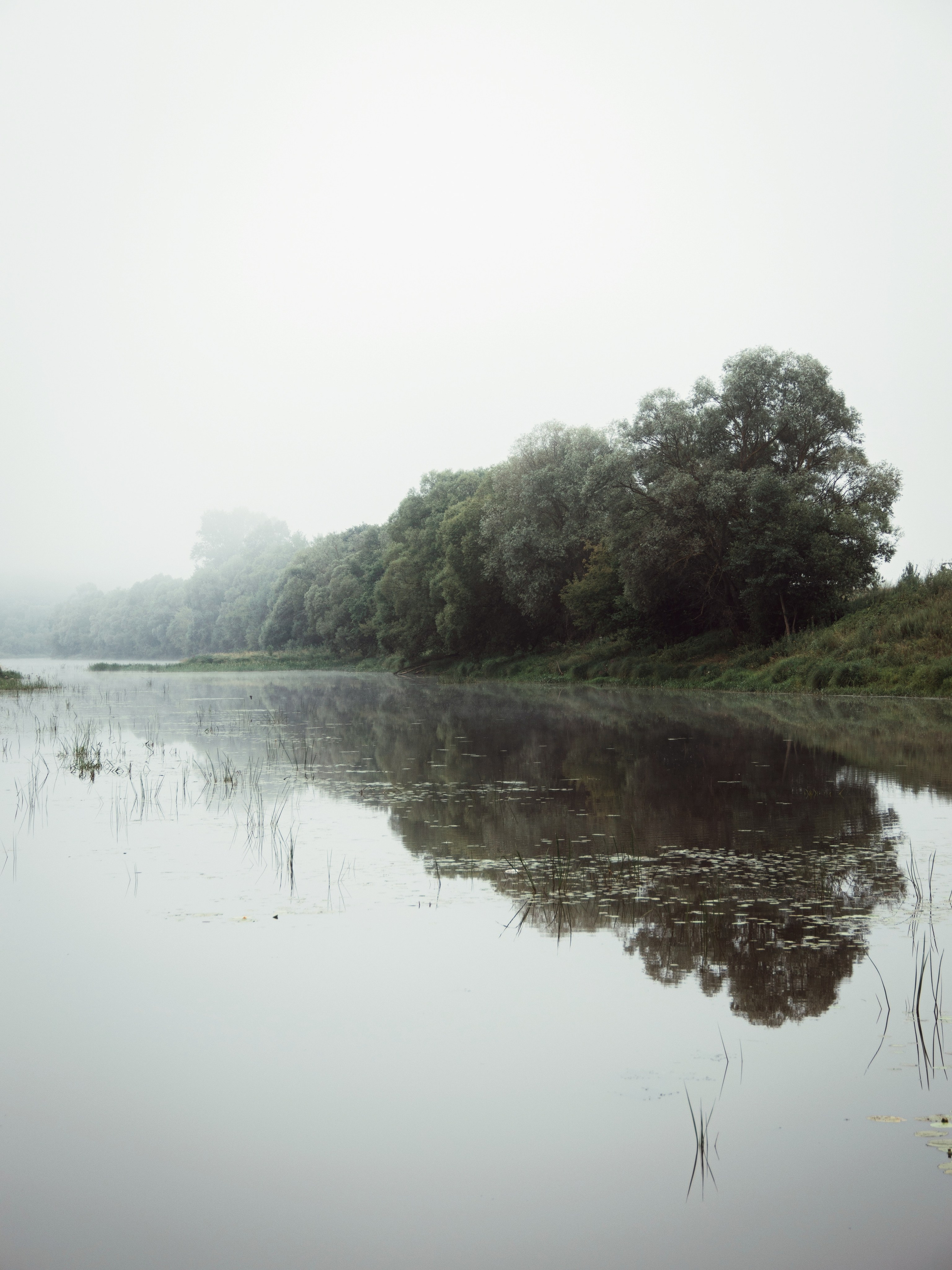 Застывшая утренняя тишина. С любовью, фотохудожник