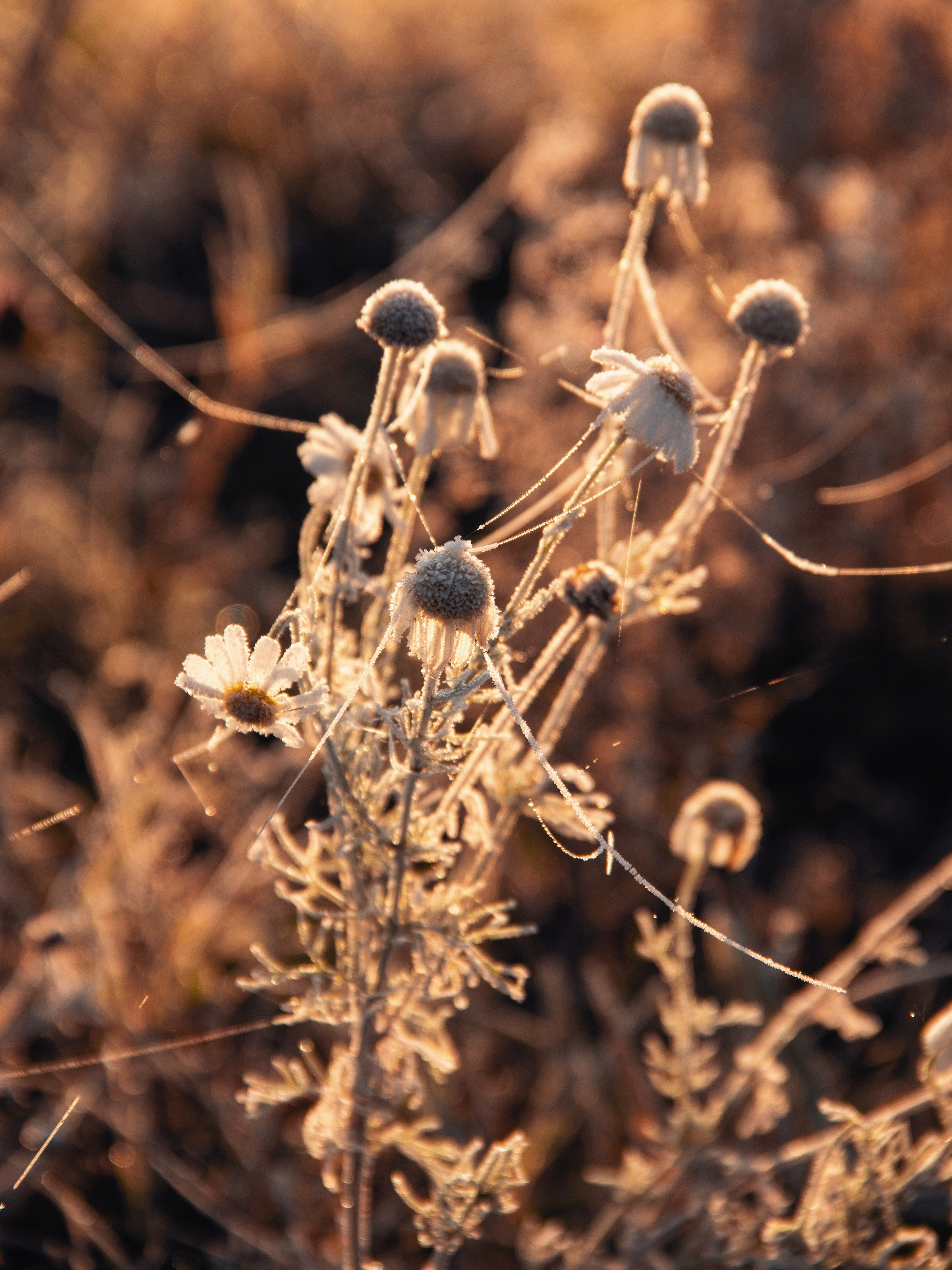 Волшебное утро в первый день октября. С любовью, фотохудожник