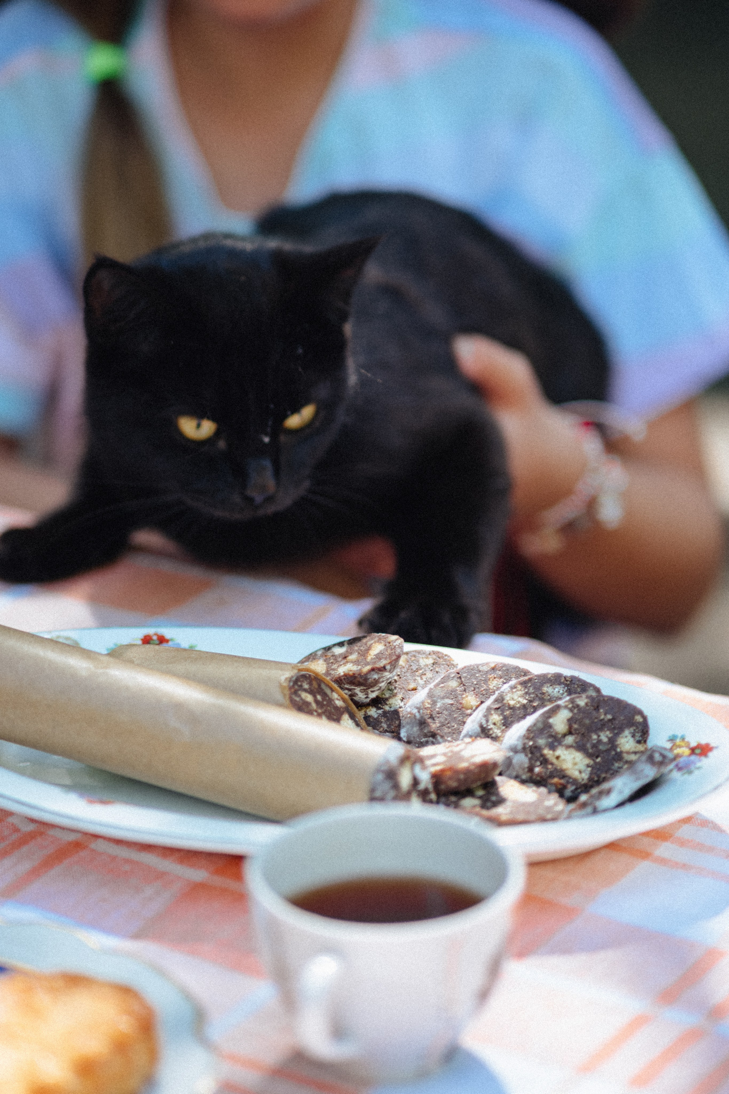 Вкус детства (Малинники). Анна Демидова — фотография для жизни и бизнеса в Абакане