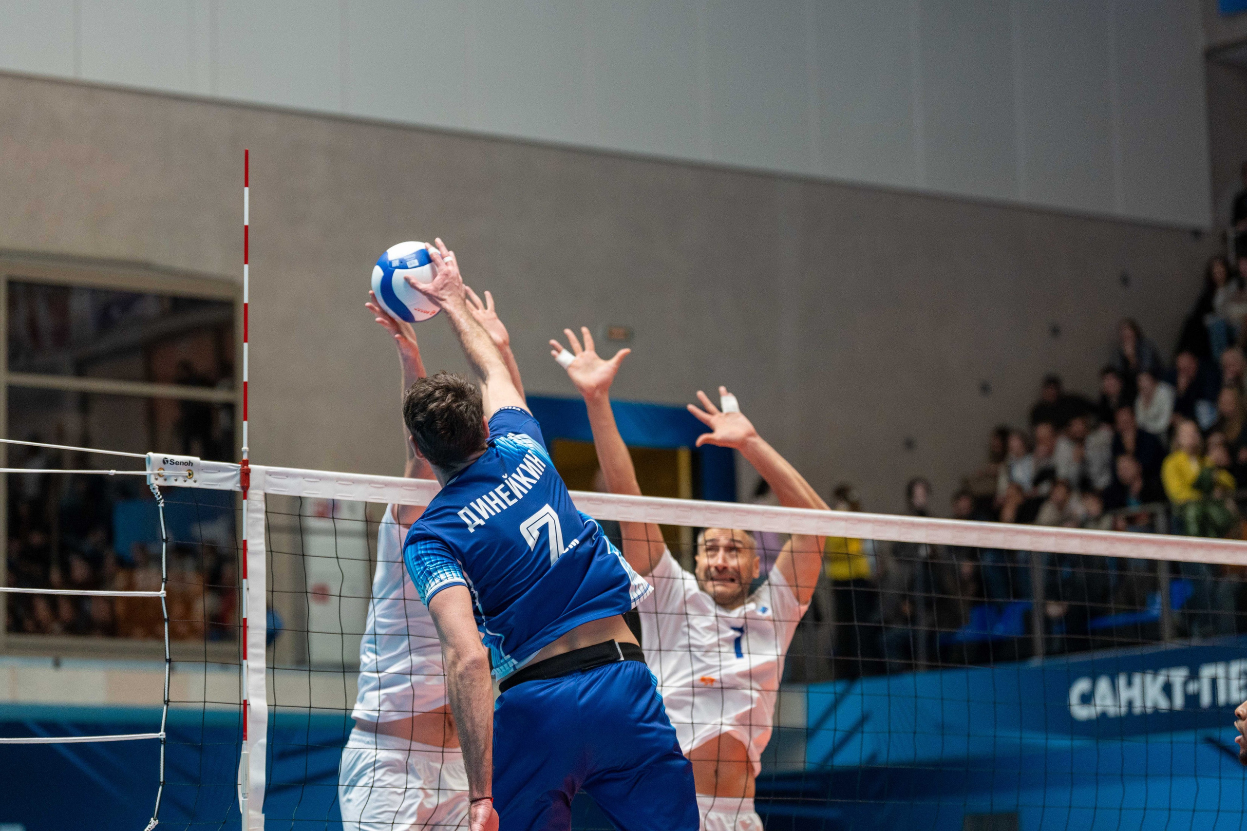 Zenit vs Dinamo-Ural volleyball: match photography | sports photographer Saint Petersburg. Sports Photographer in Saint Petersburg | Anton Hauff