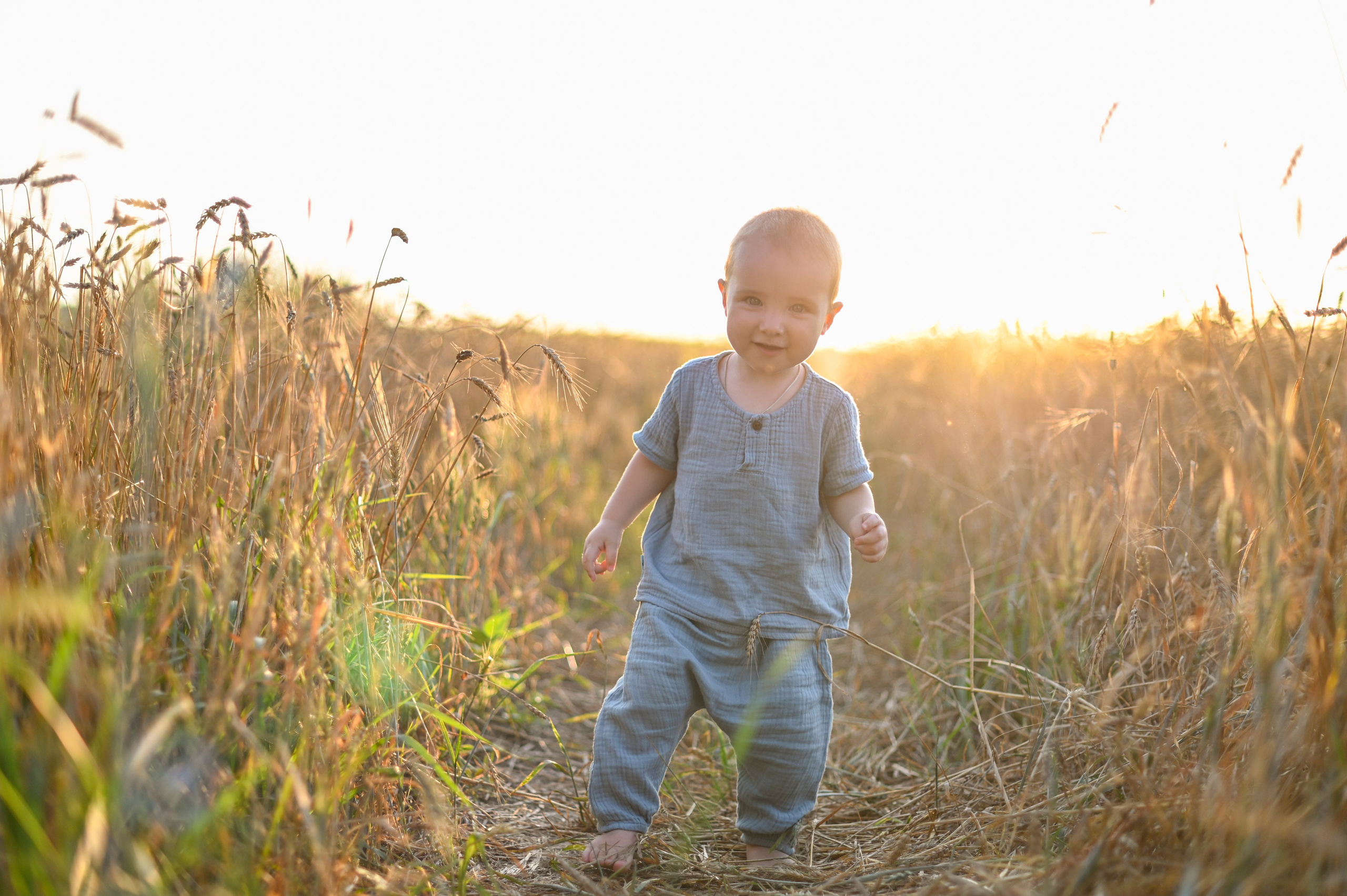 Пшеница. Детский и семейный фотограф г. Москва Оксана Катаджи