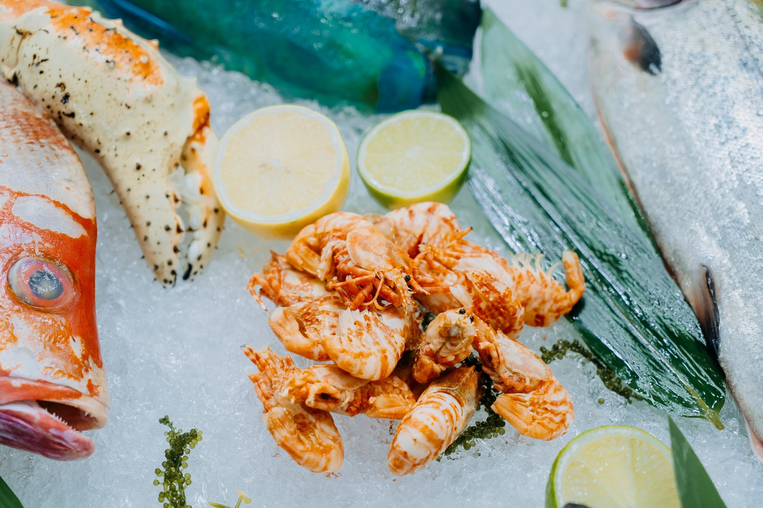 «Сладкая жизнь» на Продэкспо 2025: взгляд фотографа. Профессиональный репортажный фотограф в Москве Владимир Глаголев