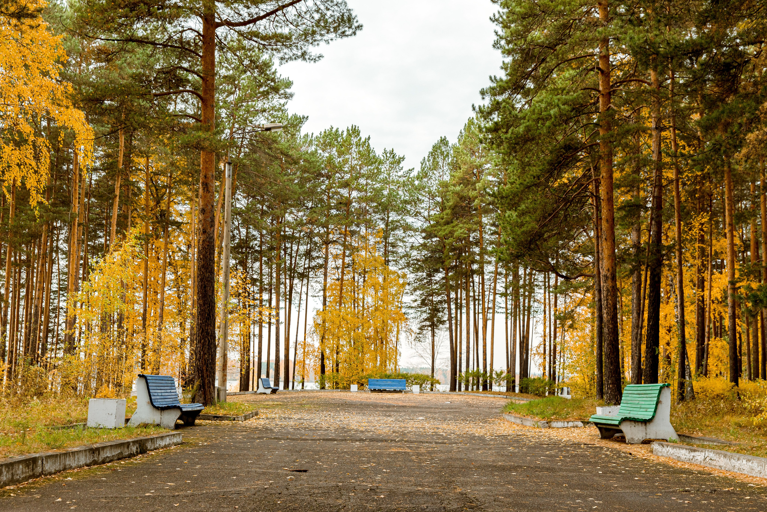 Осень в парке. Семейный и детский фотограф в Железногорске Саламахо Ольга