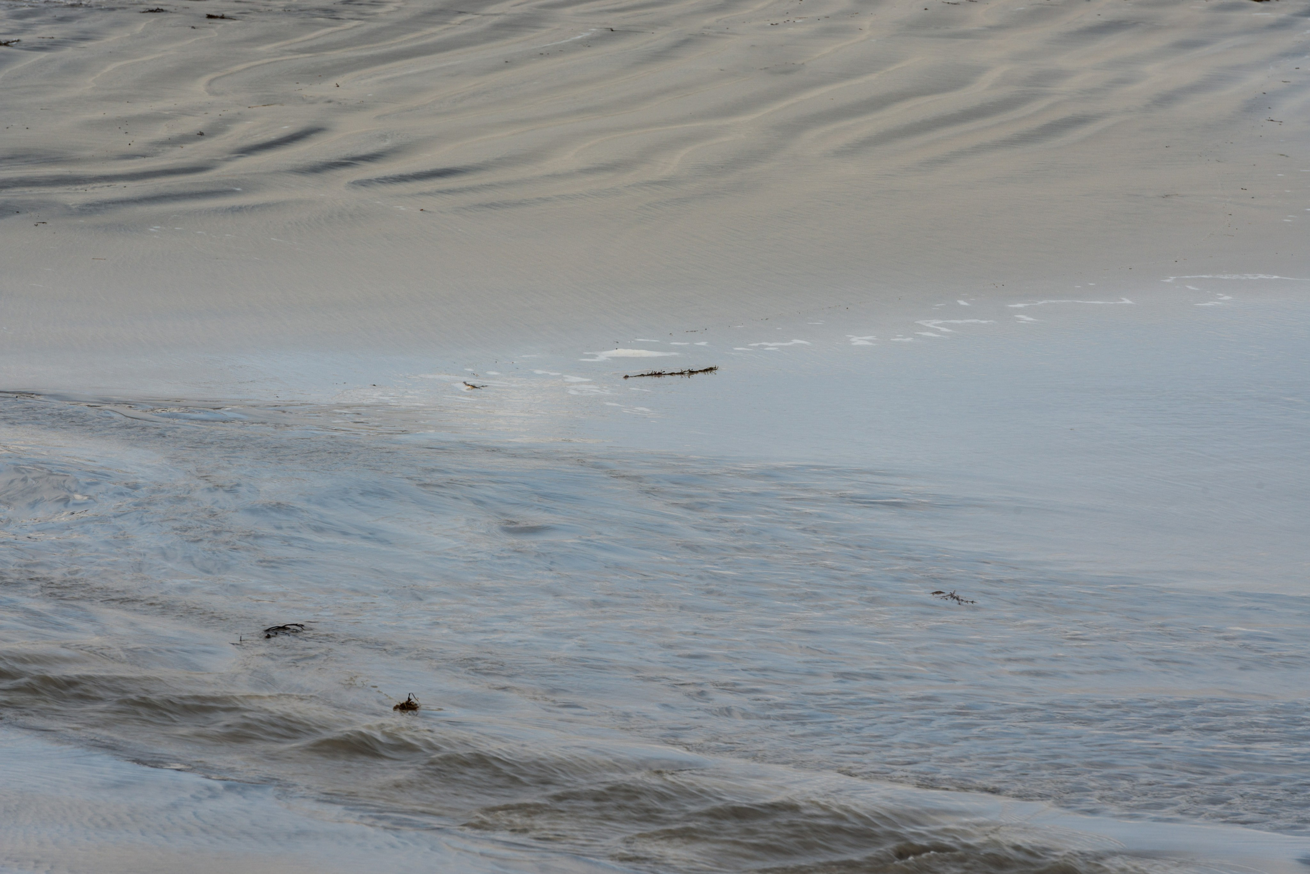 Крупный план мокрого песчаного берега с волнистыми следами от воды и рябью в норвегии