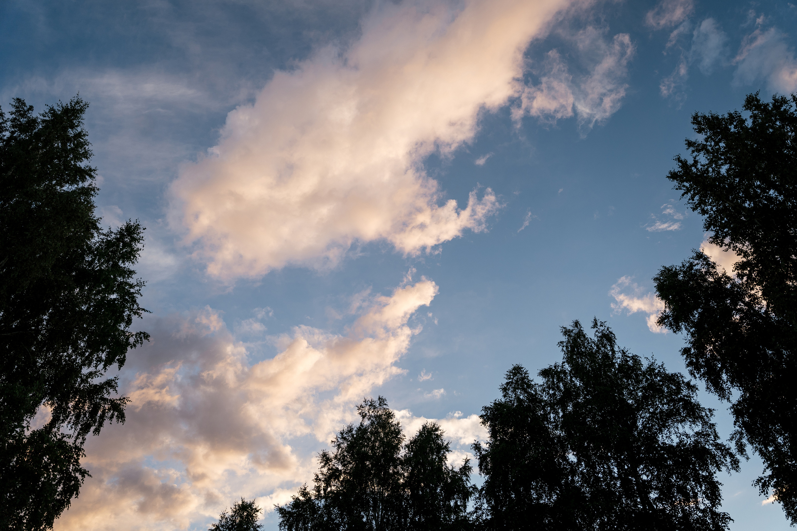 09.07.2021 Wedding day. Фотограф Томск, Новосибирск Влад Свириденко