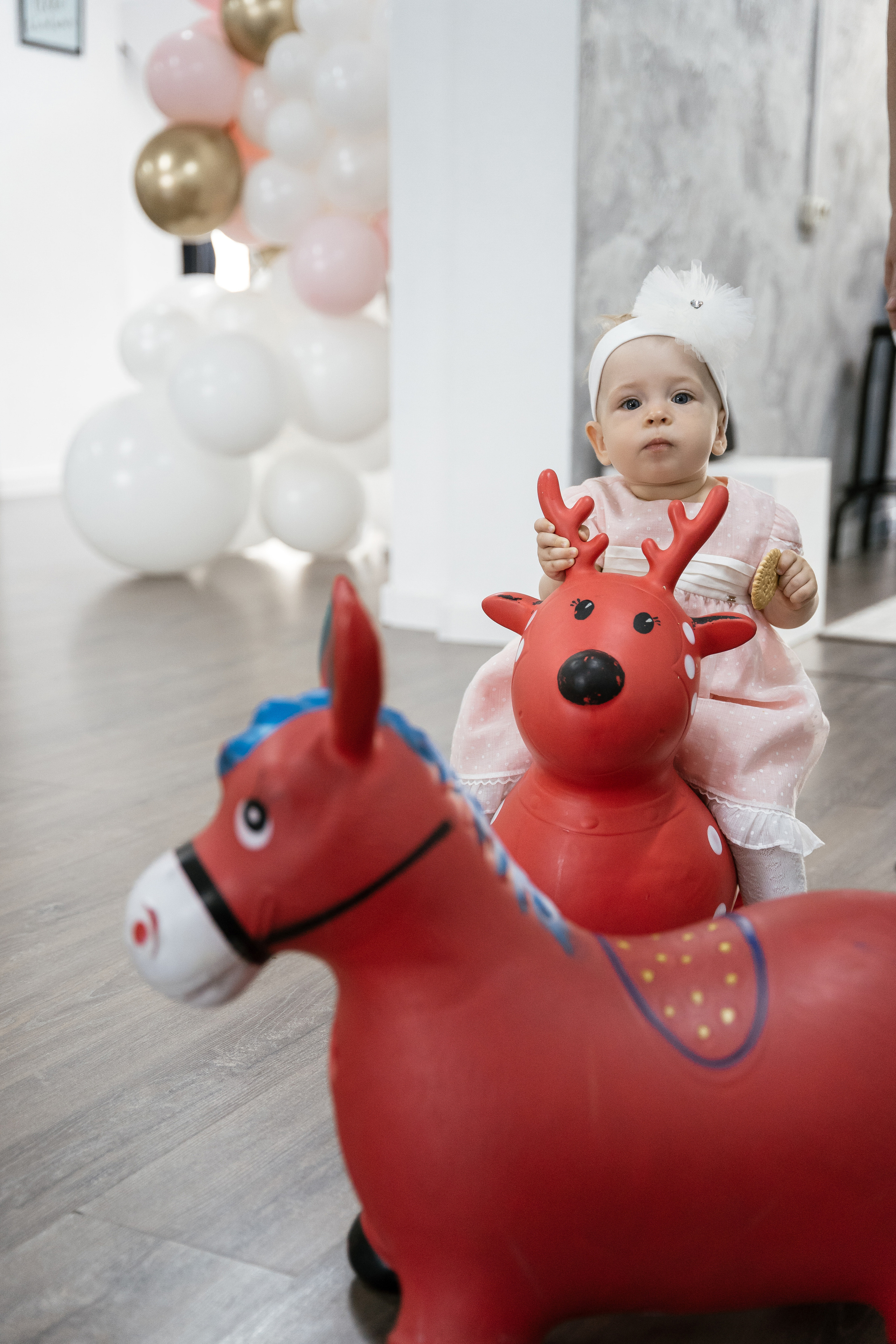 Анюте и Танюше 1 годик. Фотограф Томск, Новосибирск Влад Свириденко