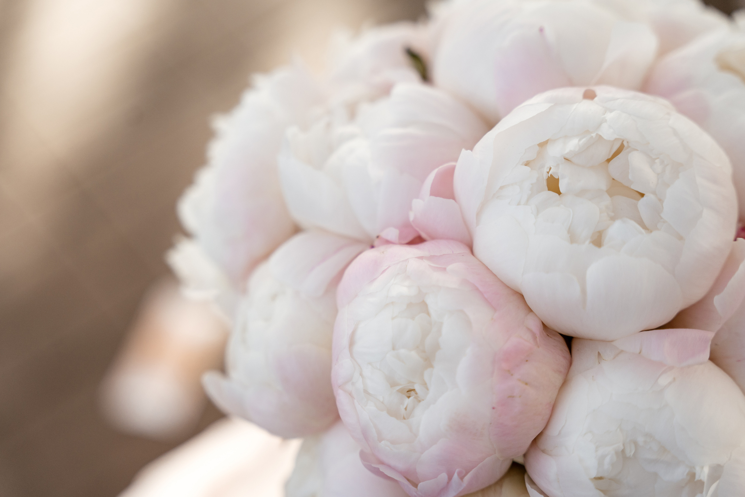 09.07.2021 Wedding day. Фотограф Томск, Новосибирск Влад Свириденко