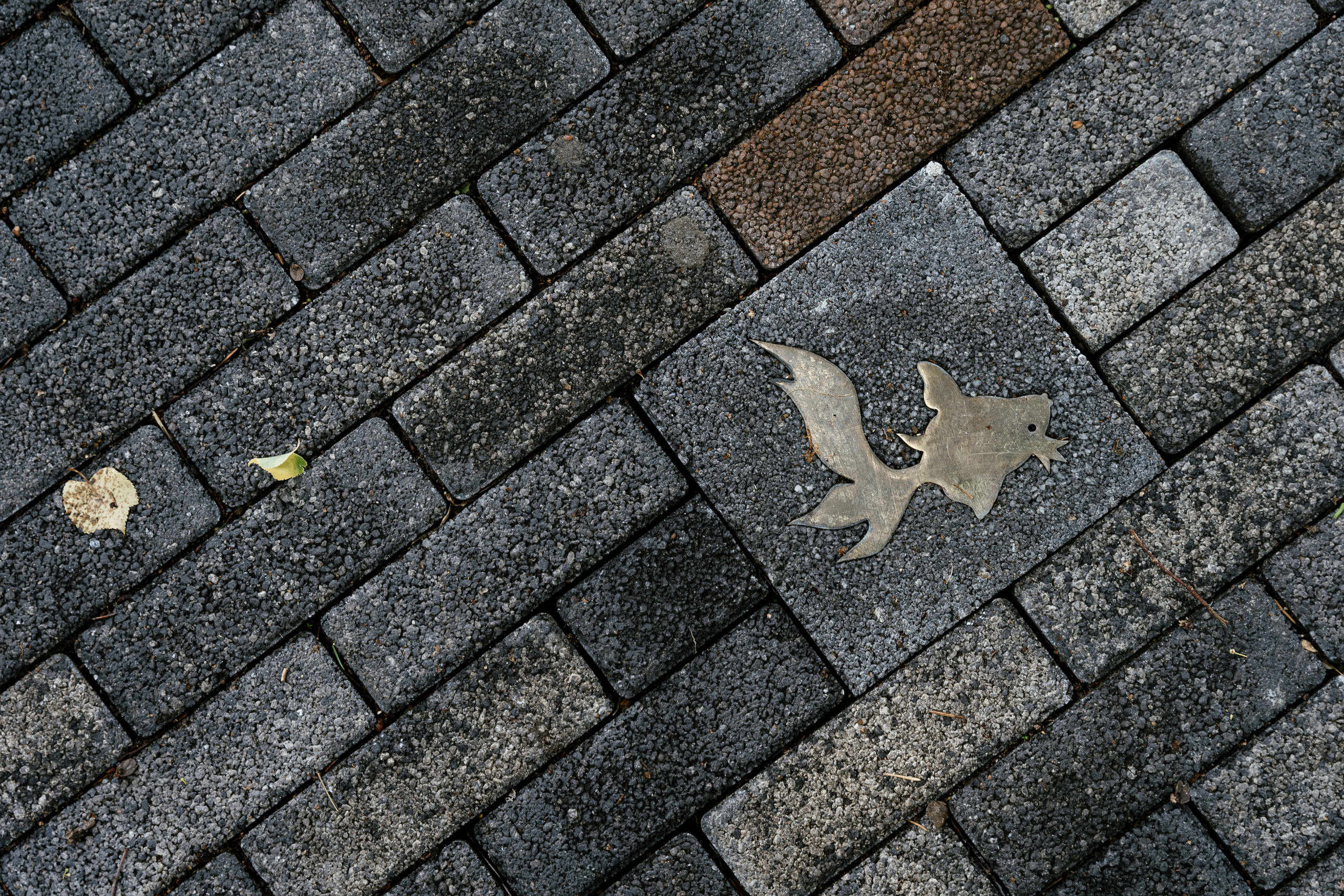 26.06.2021 Wedding day. Фотограф Томск, Новосибирск Влад Свириденко