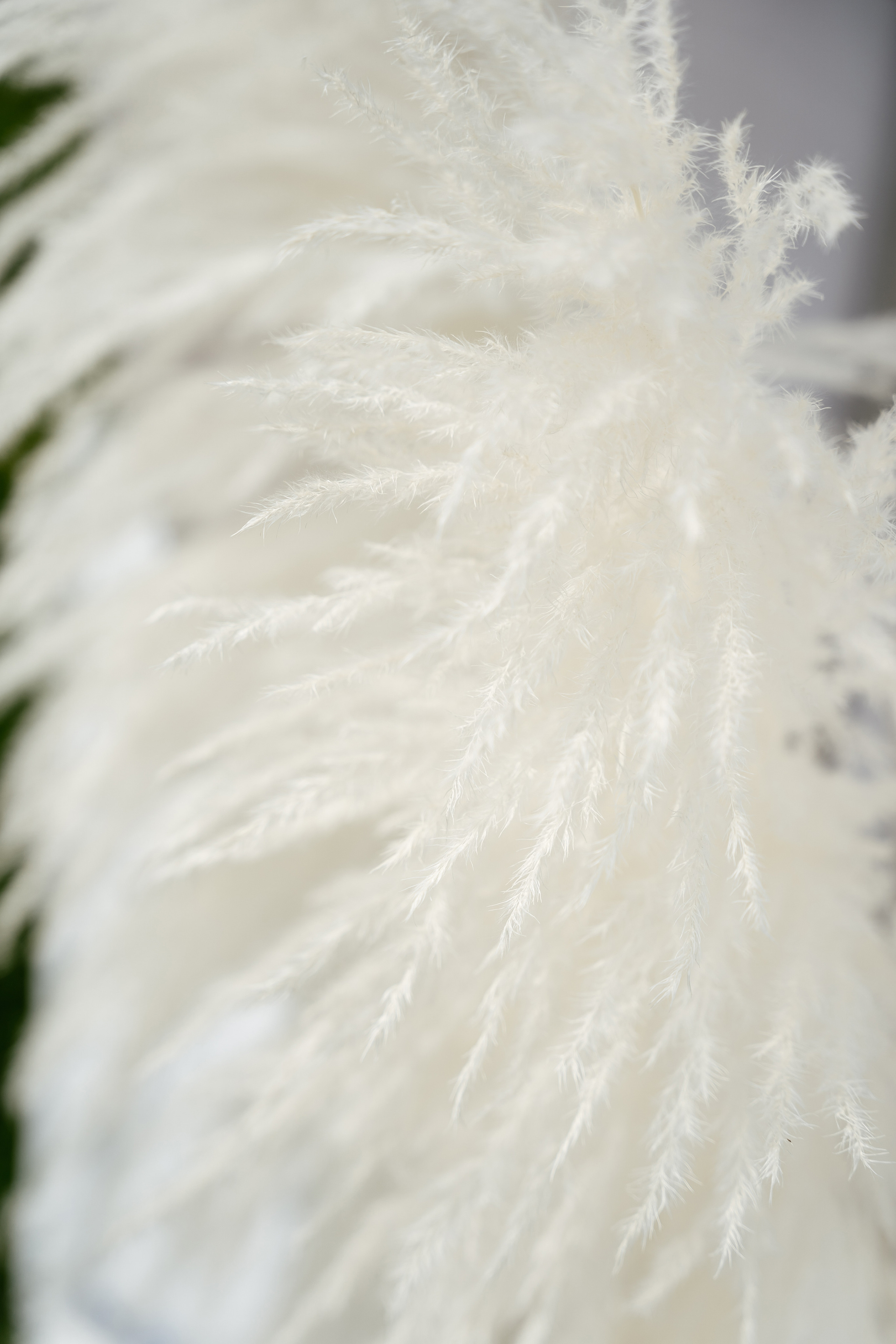 16.06.21 Wedding day. Фотограф Томск, Новосибирск Влад Свириденко