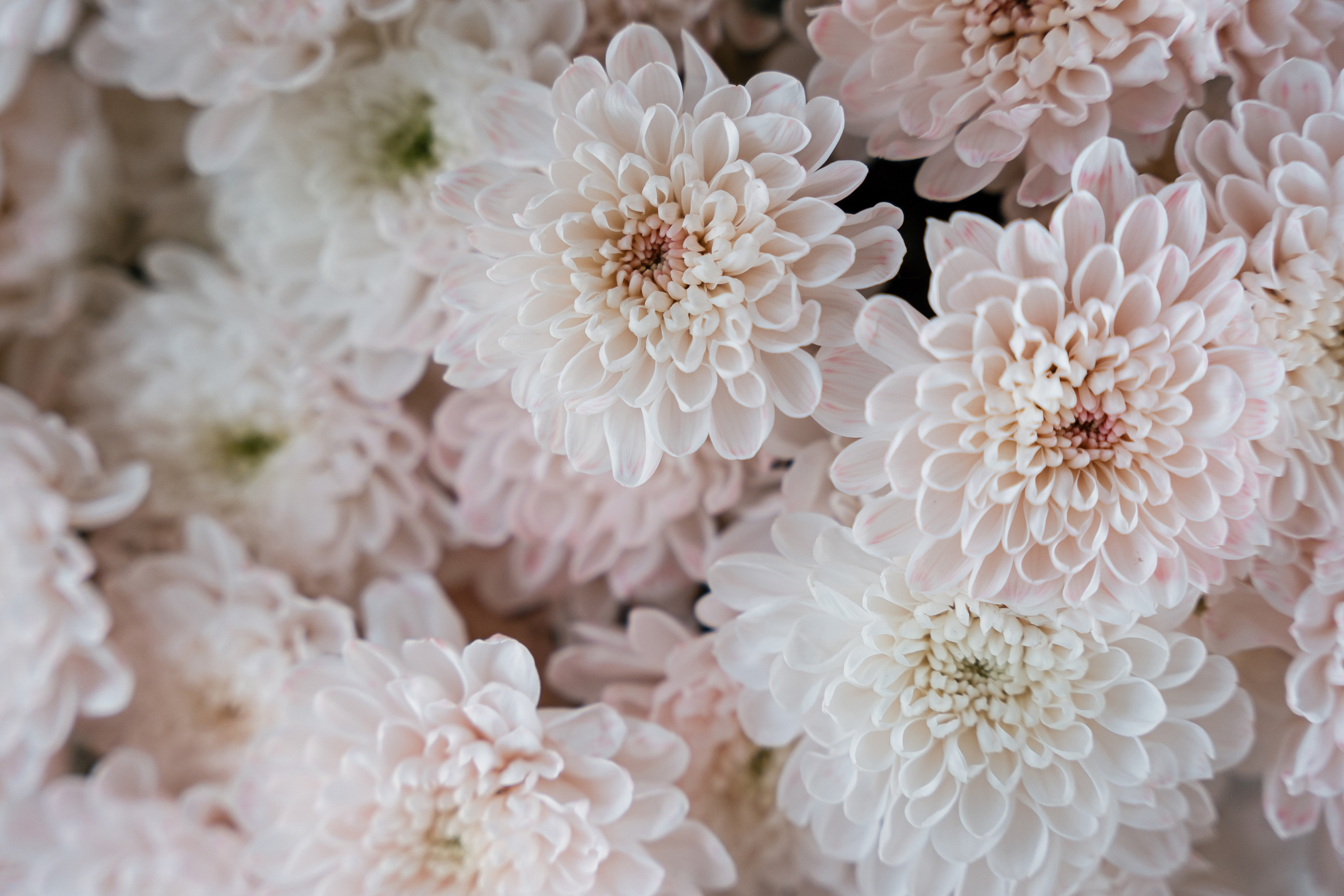 16.06.21 Wedding day. Фотограф Томск, Новосибирск Влад Свириденко