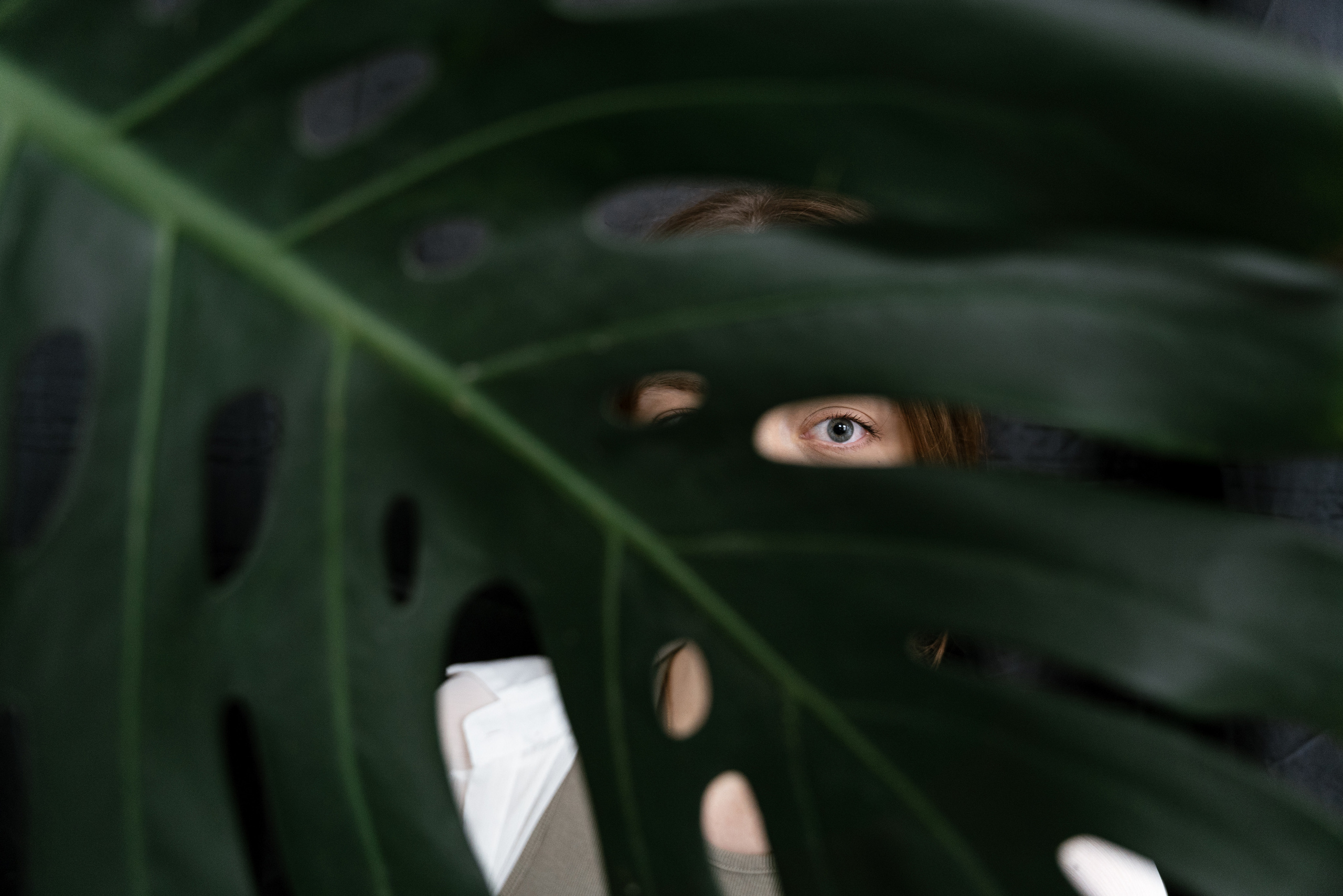 Забытый сертификат. Фотограф Томск, Новосибирск Влад Свириденко