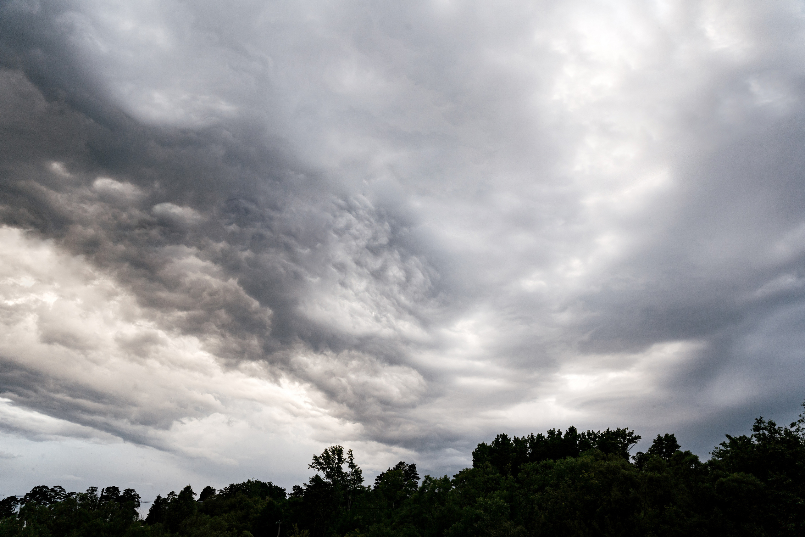 16.06.21 Wedding day. Фотограф Томск, Новосибирск Влад Свириденко