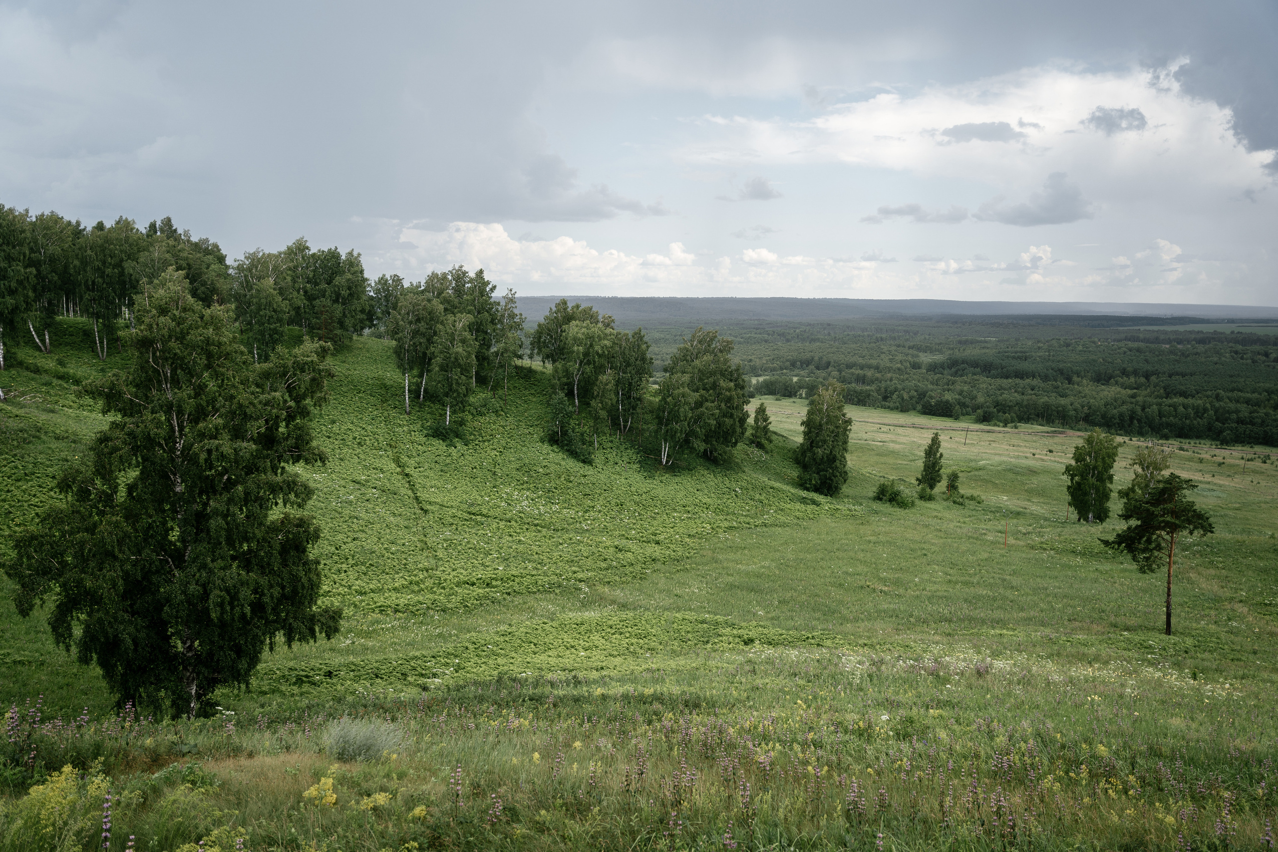 09.07.2021 Wedding day. Фотограф Томск, Новосибирск Влад Свириденко