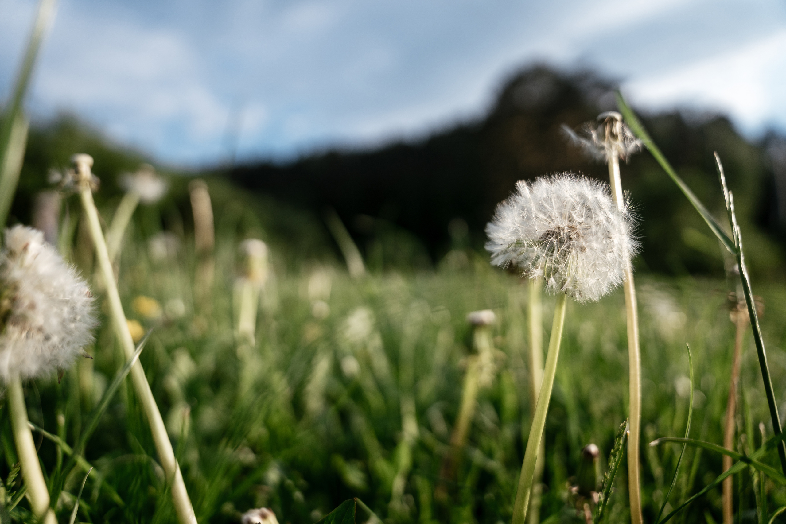16.06.21 Wedding day. Фотограф Томск, Новосибирск Влад Свириденко