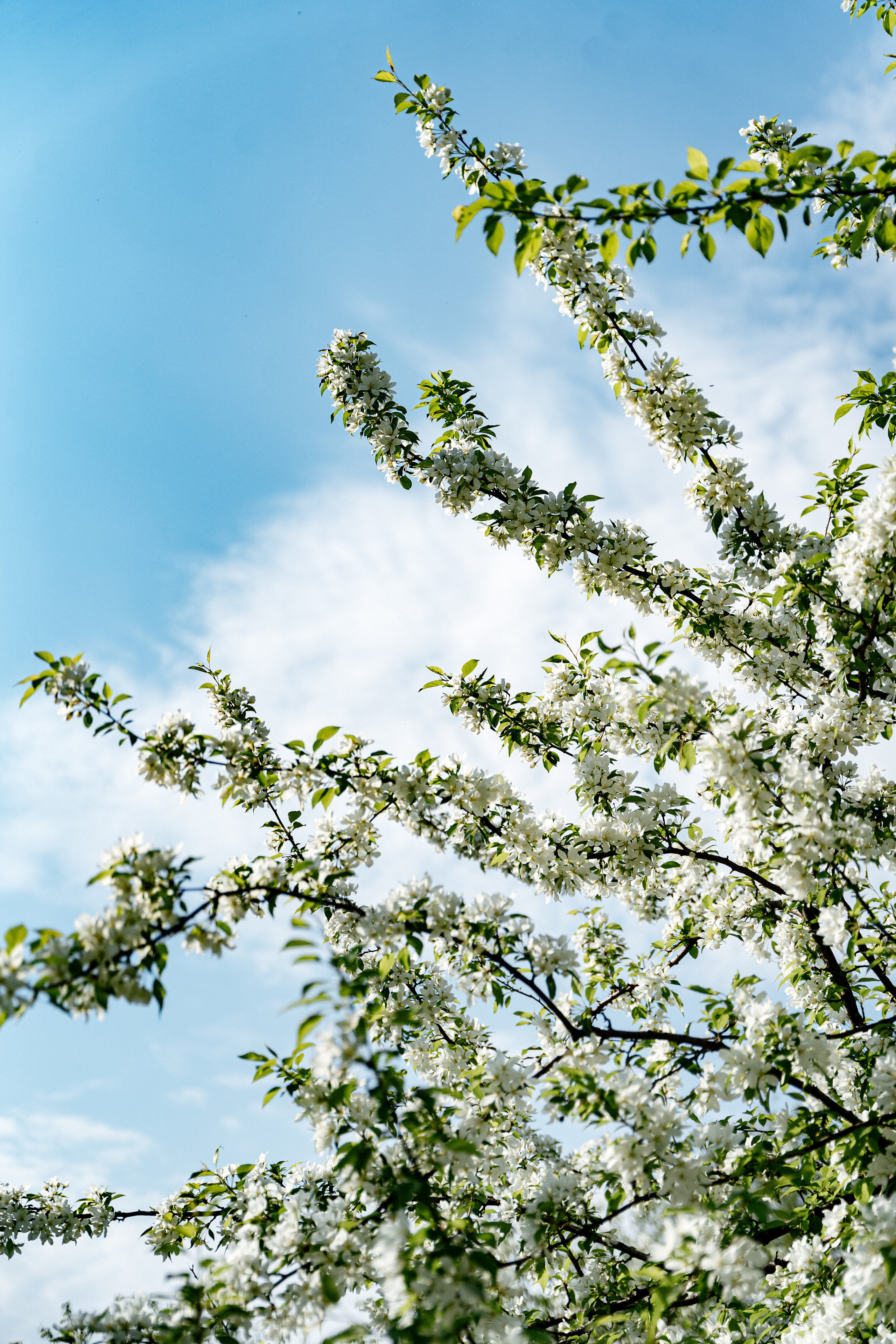 Рубанниковы. Фотограф Томск, Новосибирск Влад Свириденко