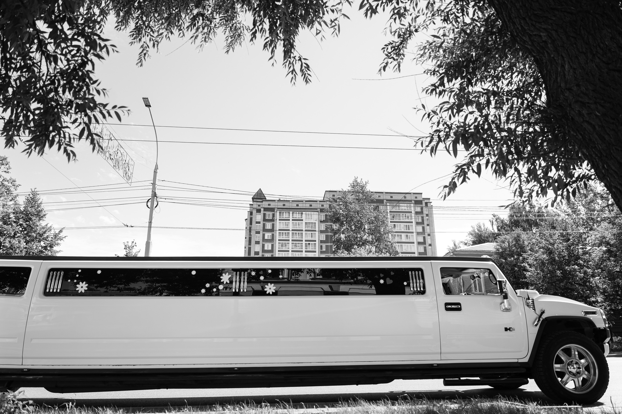 08.07.2021. Фотограф Томск, Новосибирск Влад Свириденко