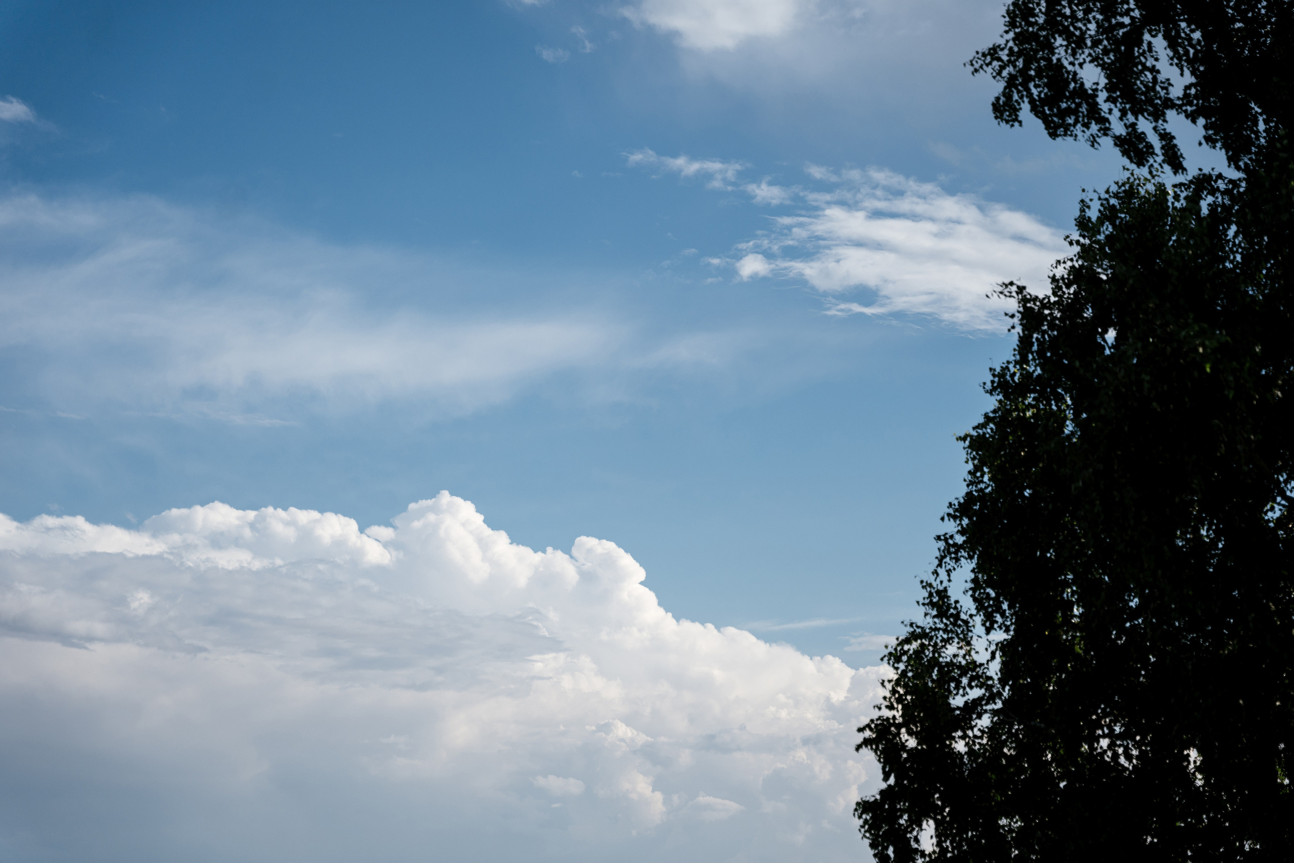 09.07.2021 Wedding day. Фотограф Томск, Новосибирск Влад Свириденко