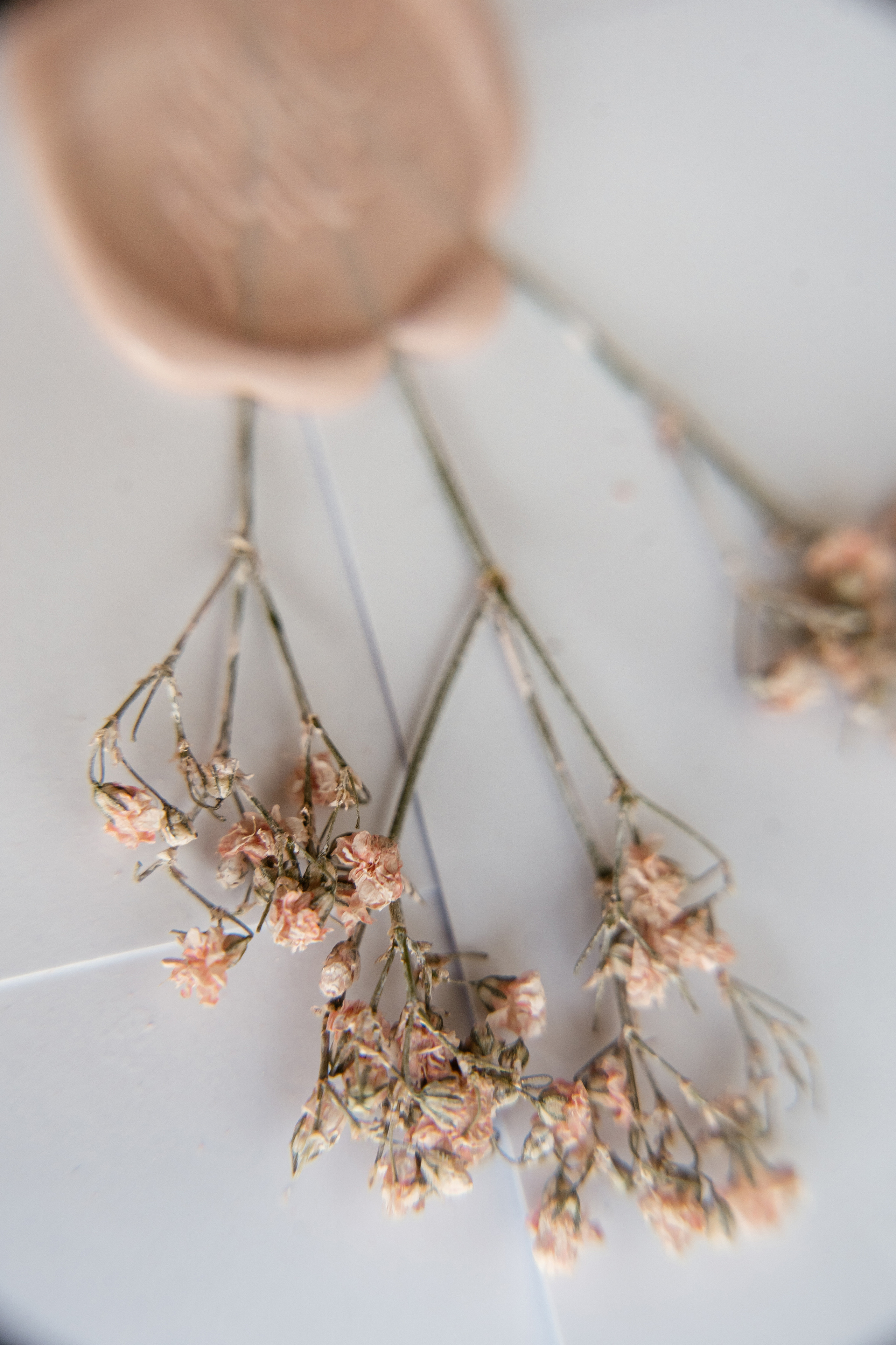 16.06.21 Wedding day. Фотограф Томск, Новосибирск Влад Свириденко