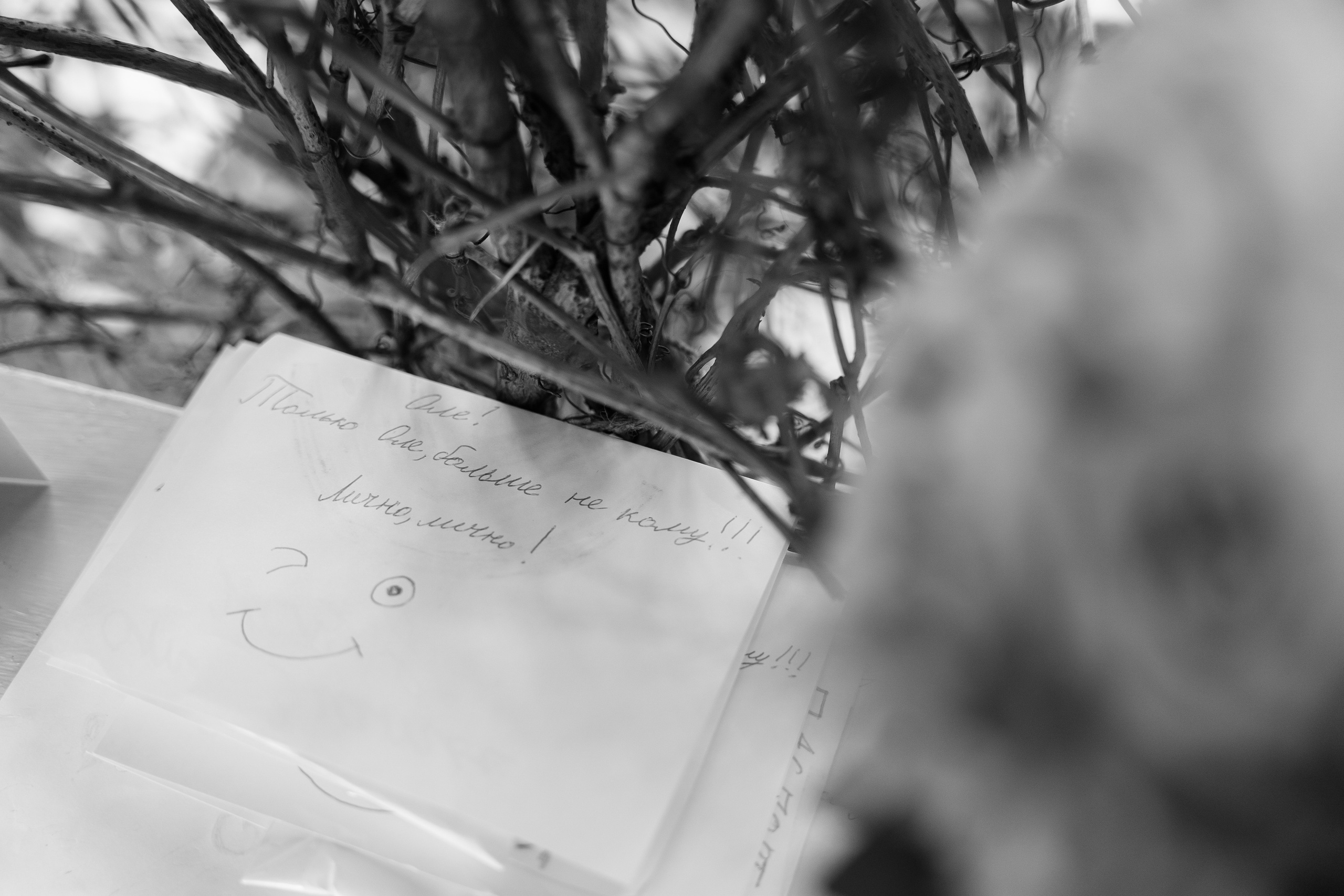 16.06.21 Wedding day. Фотограф Томск, Новосибирск Влад Свириденко