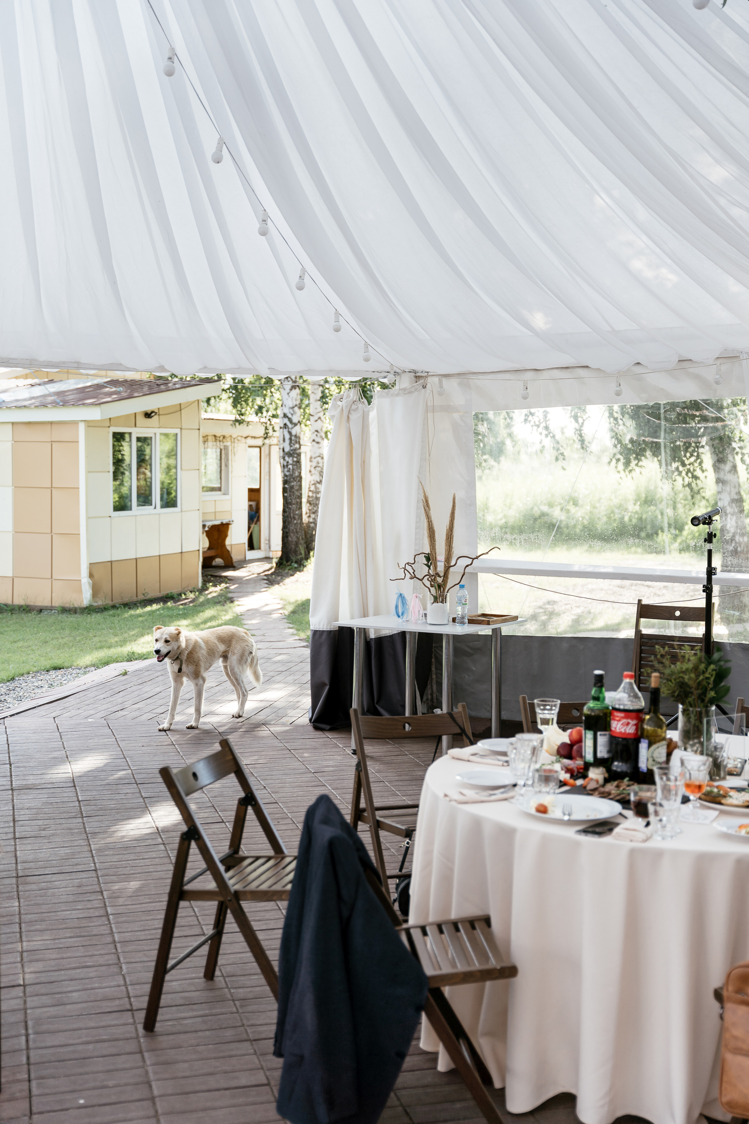 09.07.2021 Wedding day. Фотограф Томск, Новосибирск Влад Свириденко